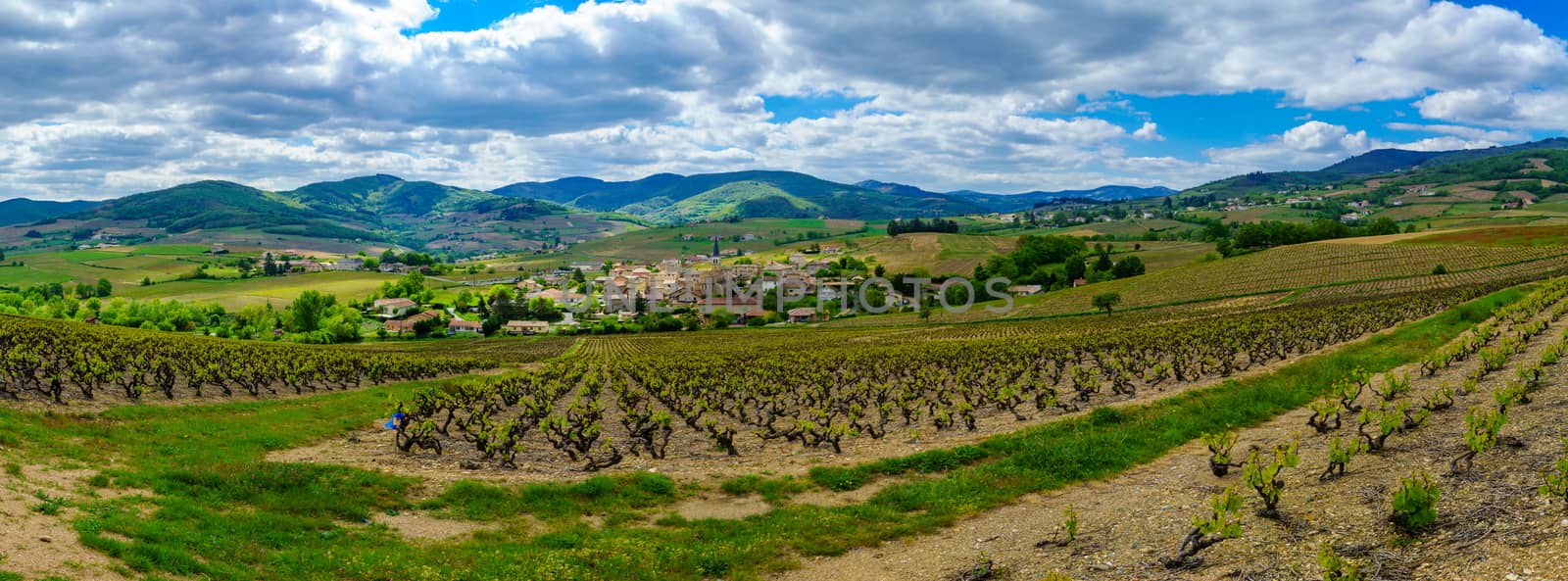 Panorama of vineyards and countryside in Beaujolais, the village by RnDmS