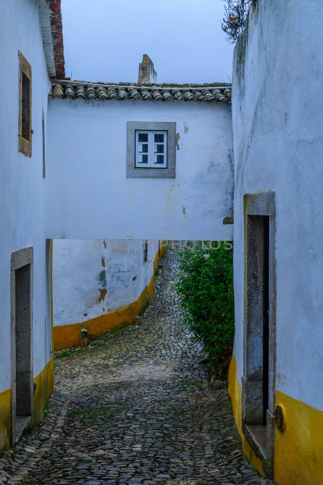 Alleys in the old town, in Obidos by RnDmS