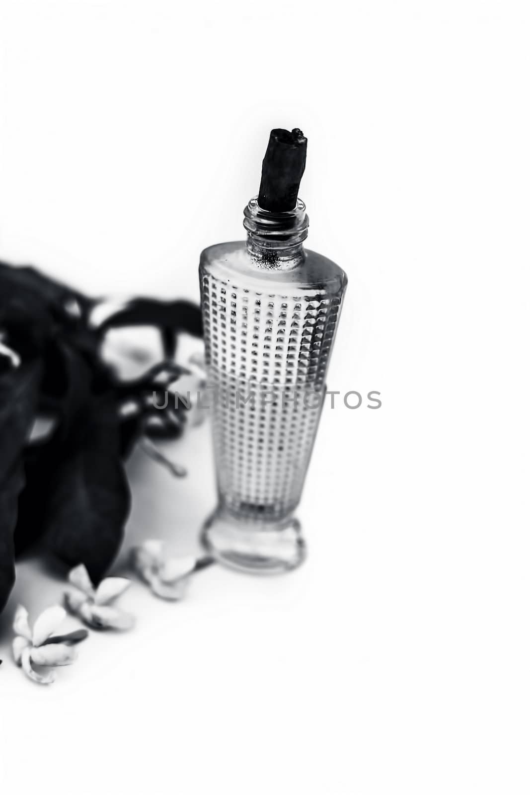 Close up of spray or perfume of Indian jasmine flower or juhi or Jasminum Auriculatum isolated on white in a small bottle with raw flowers.