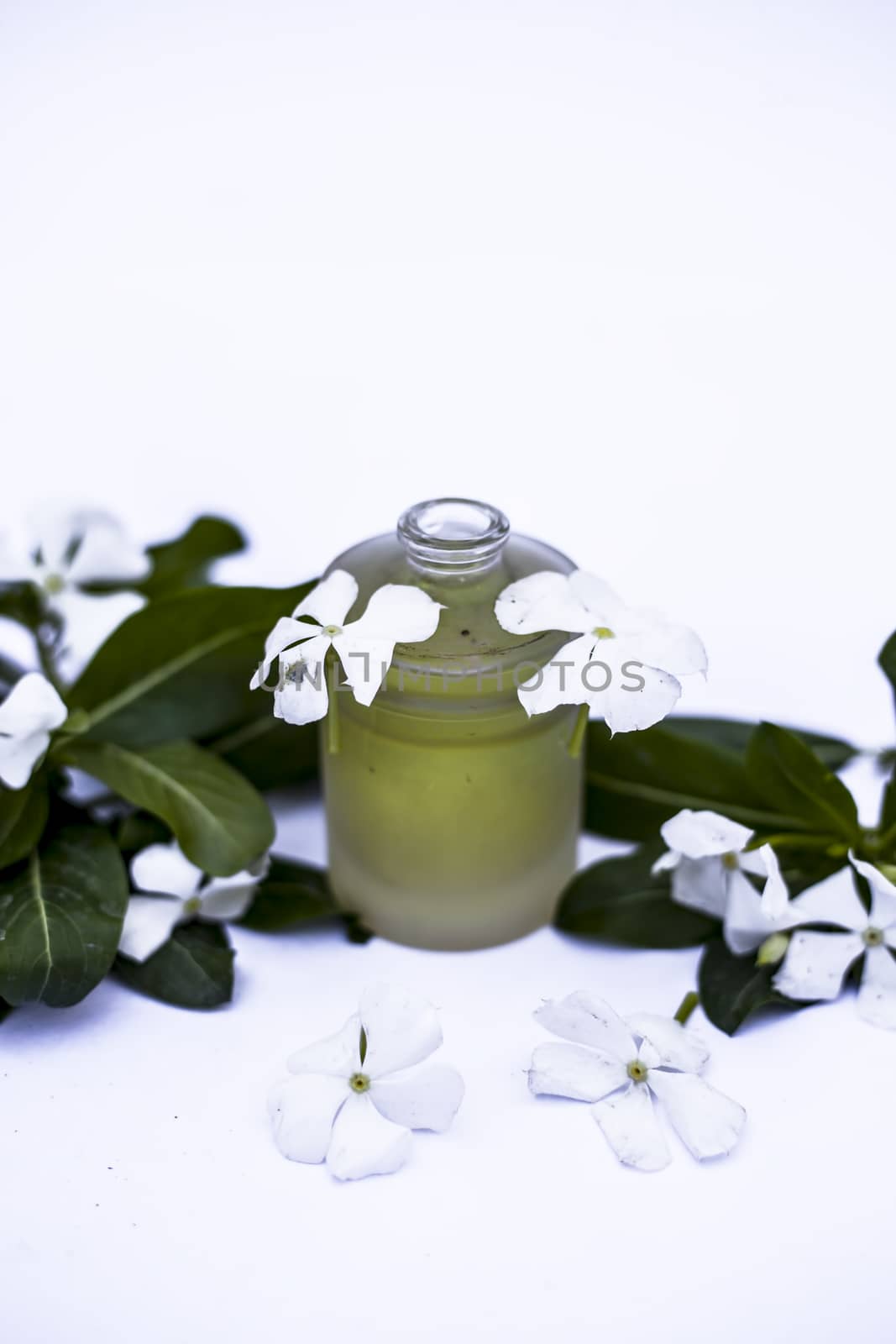 White colored flowers along with leaves and essential herbal detoxifying oil in a glass bottle isolated on white.