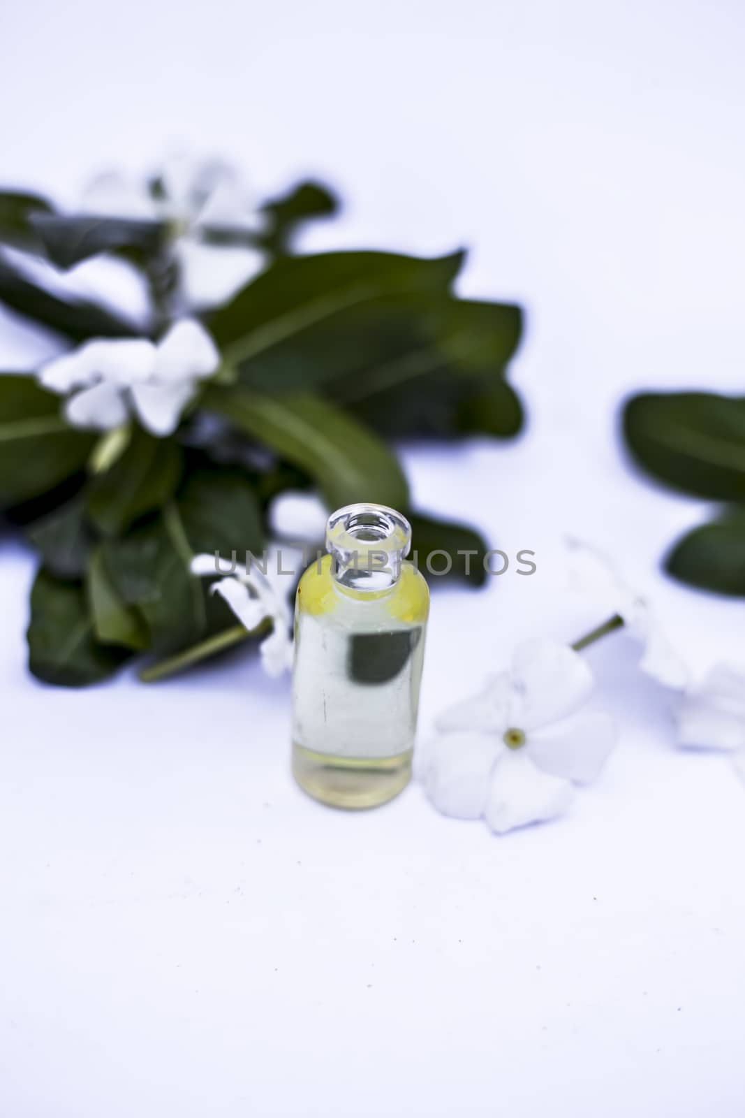 White colored flowers along with leaves and essential organic essence in a small transparent glass bottle isolated on white.