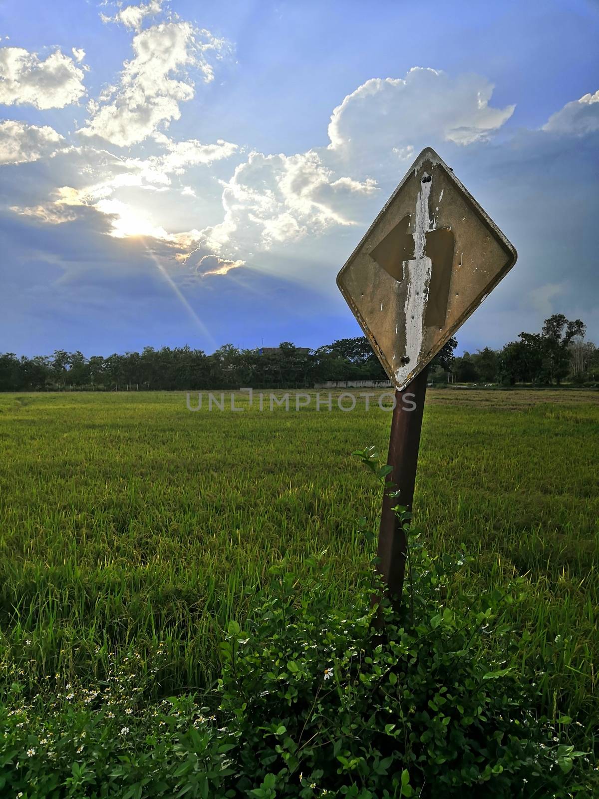 Old turning left traffic signs with grass covering the ground on the sky background, concept way to heaven or success.