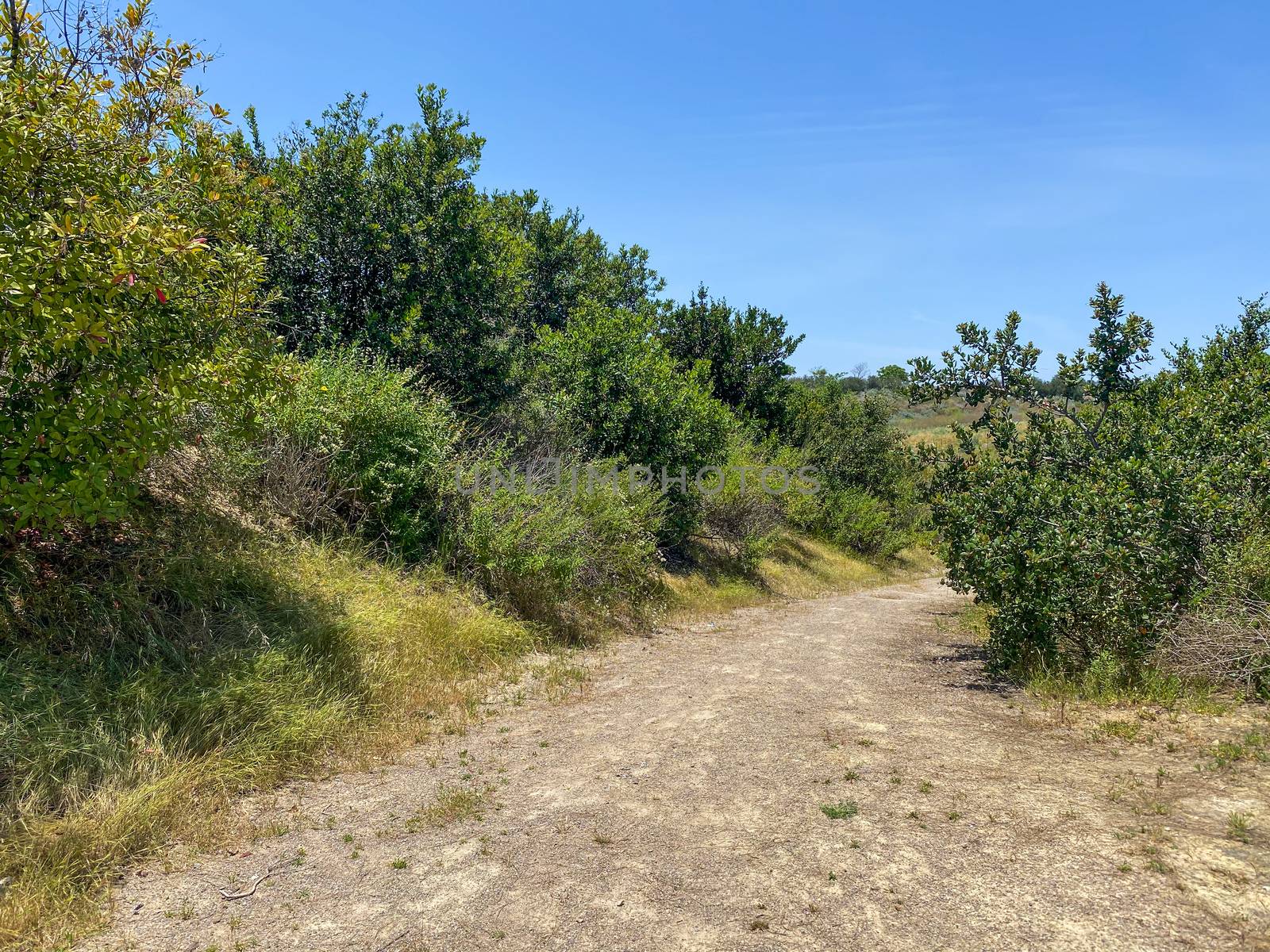 Small dry dusty trails in the valley, San Diego, California, USA