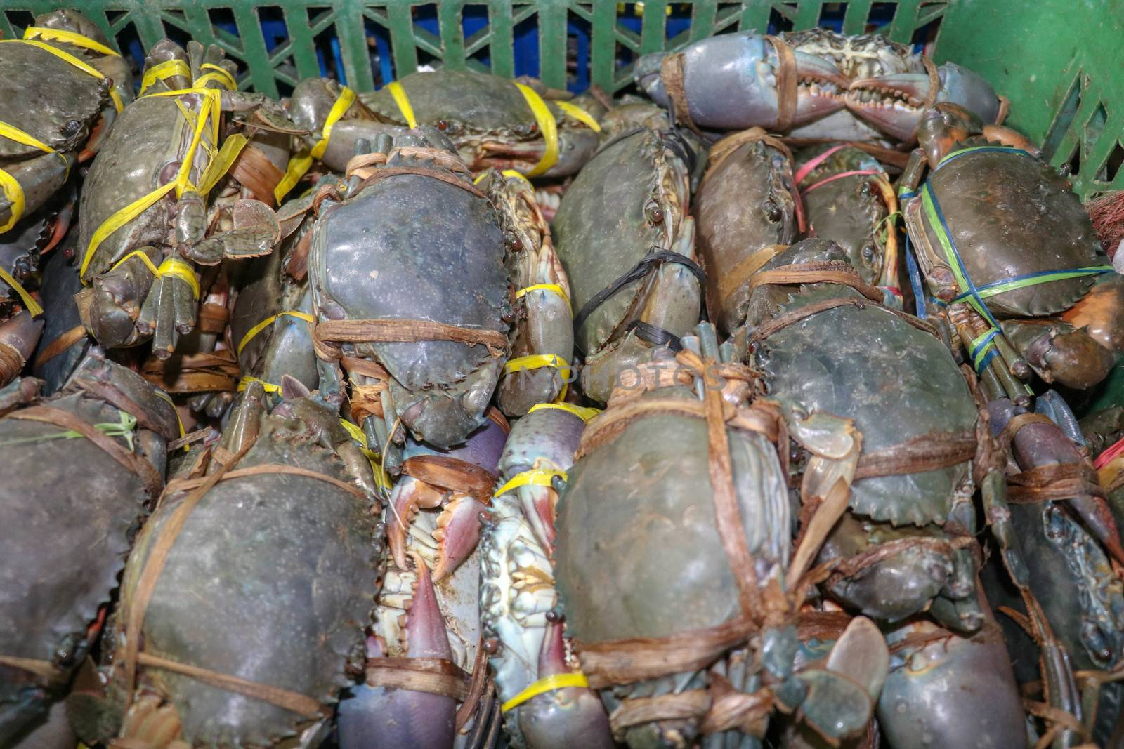 Pattern of fresh crabs selling on a seafood counter in Jimbaran. Pasar Ikan Kedonganan - Bali beach. Fresh crabs on the local fish market. Bunch of fresh crabs in plastic carrier for sale.