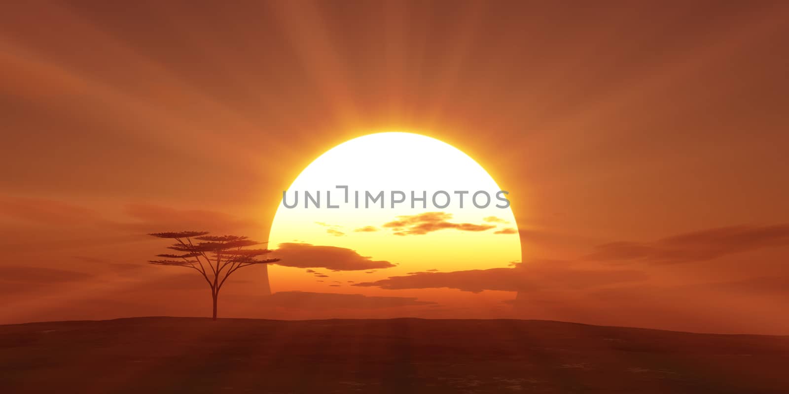 big sun sunset tree landscape, 3d illustrations
