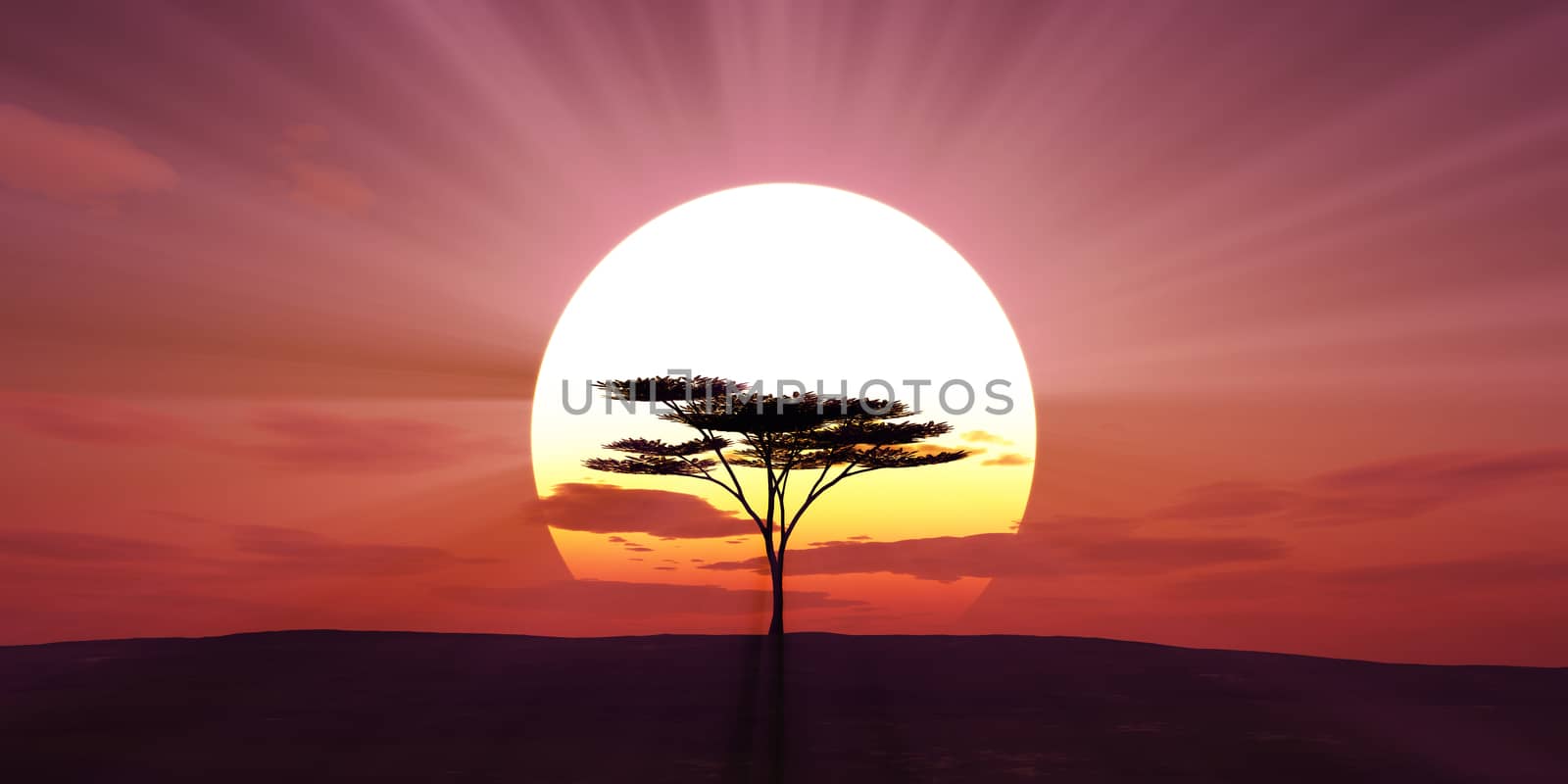 big sun sunset tree landscape, 3d illustrations