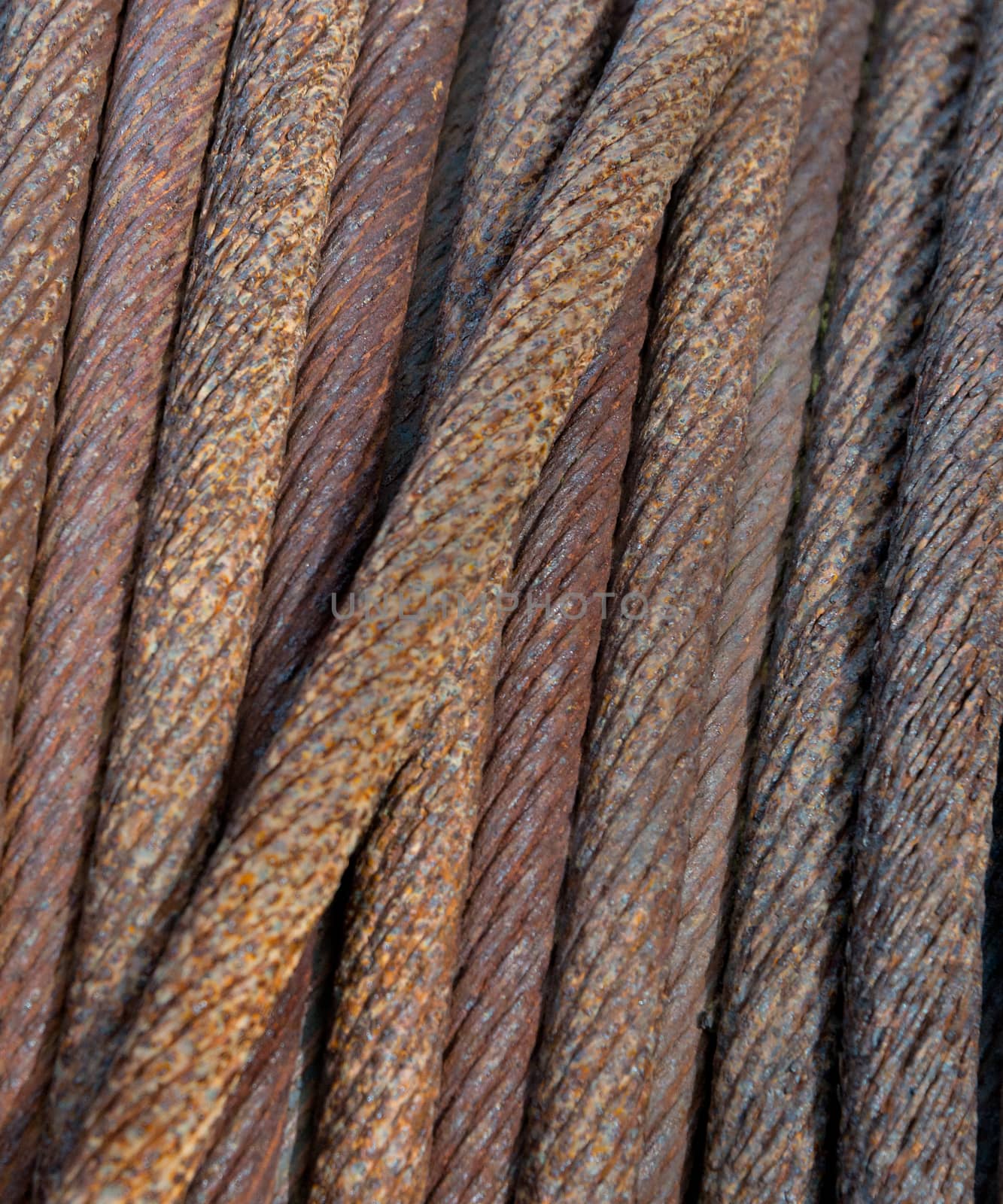 Rusty Steel Cable at the Sea