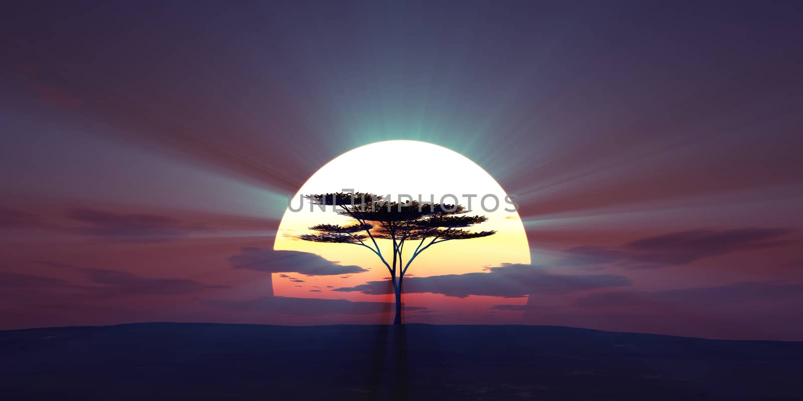 big sun sunset tree landscape, 3d illustrations by alex_nako