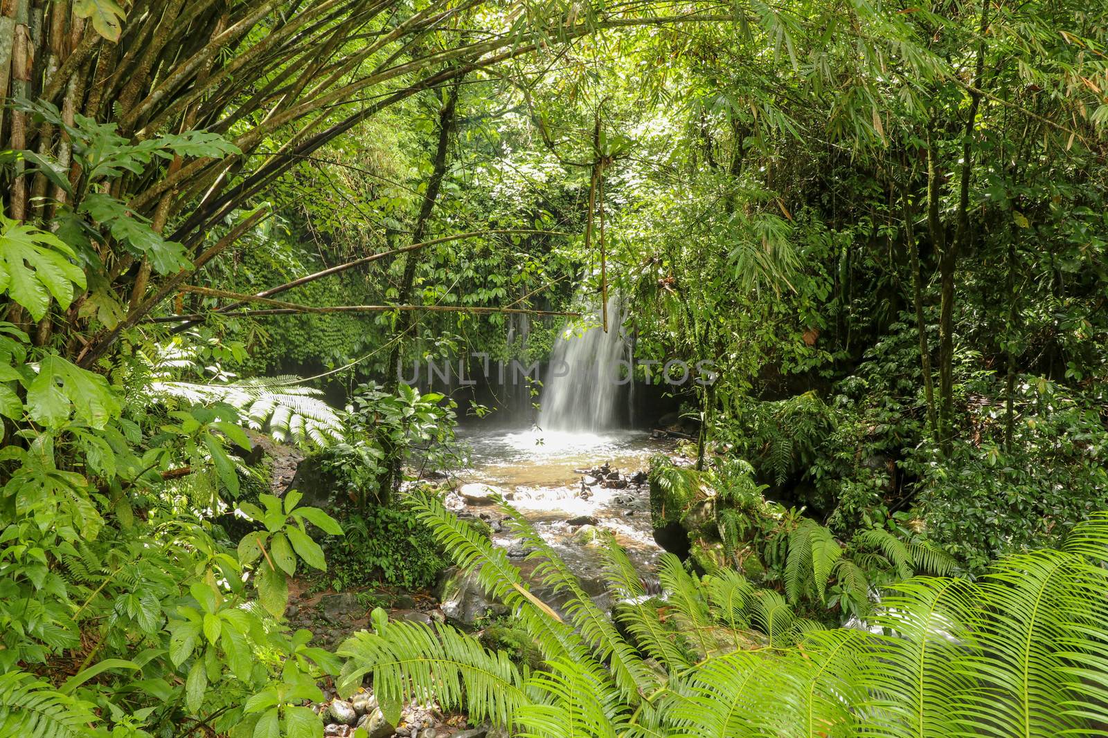Yeh Ho Waterfall is located in the lush rice field-laden Penebel village in Tabanan. Waterfall near to Jatiluwih rice terrace in Bali, Indonesia. Beautiful waterfall in deep tropical jungle.