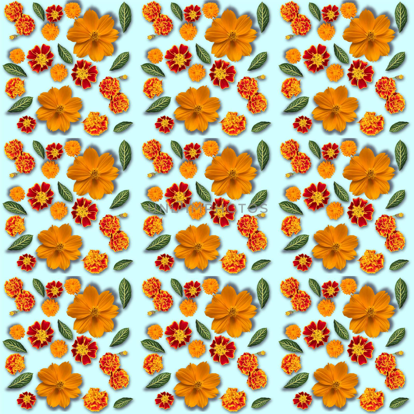 Yellow flowers pattern on a blue background. Cosmos, marigold and calendula flowers composition. Top view.