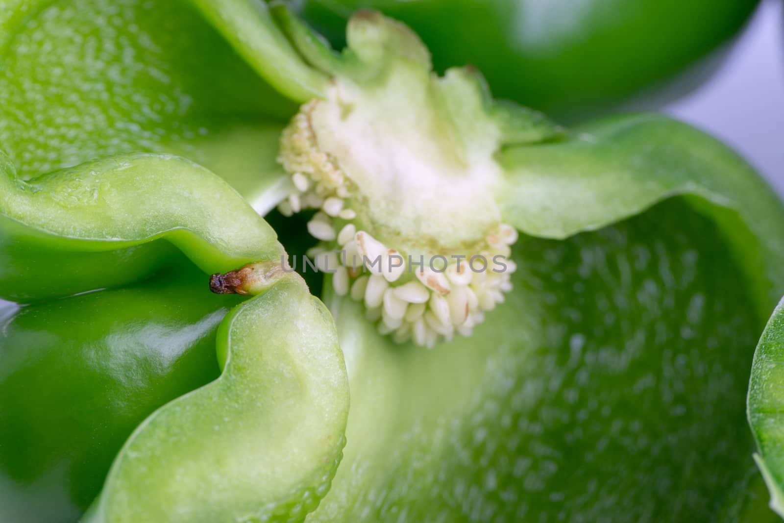 Fresh green bell peppers (capsicum) on a white background by silverwings