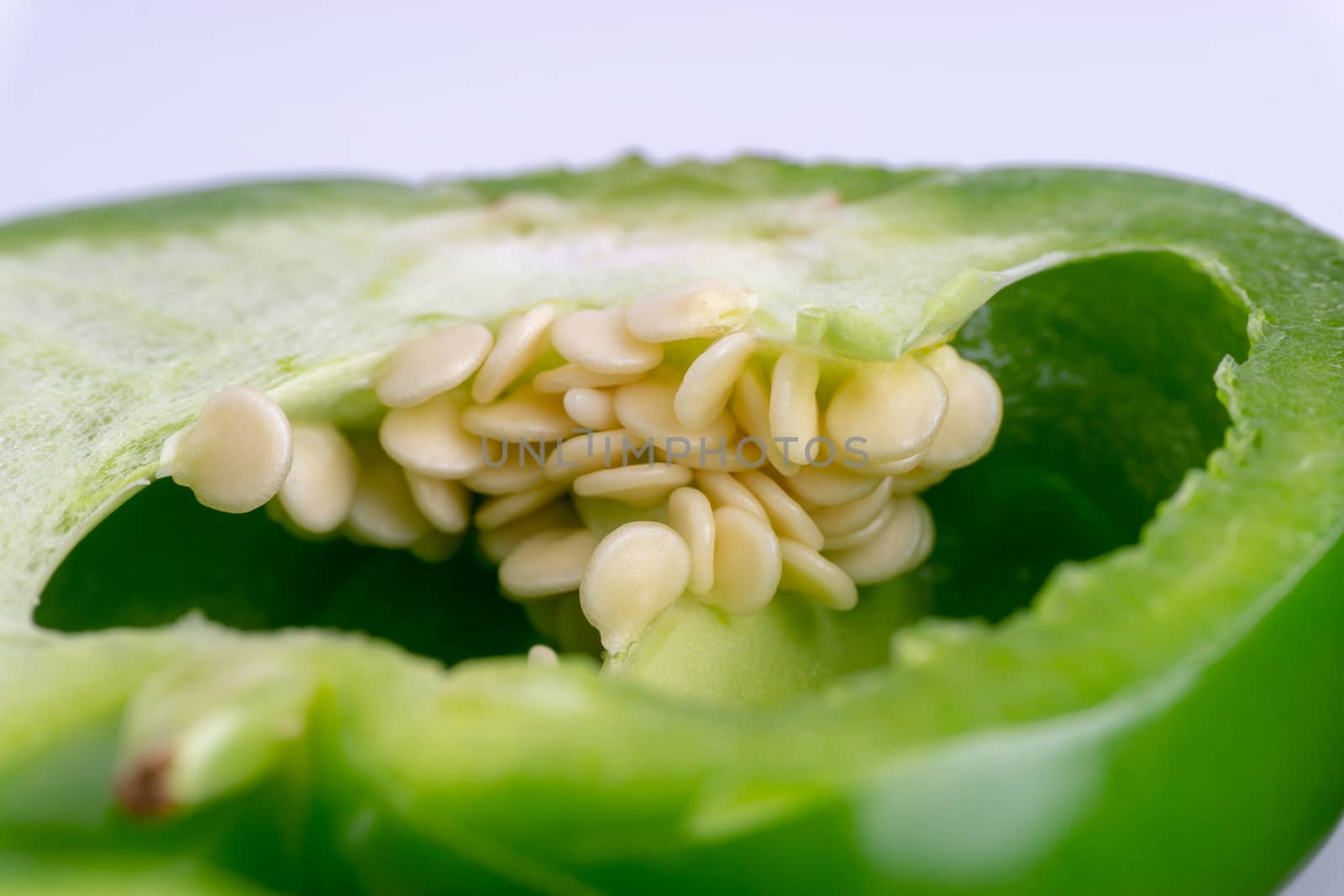 Fresh green bell peppers (capsicum) on a white background by silverwings