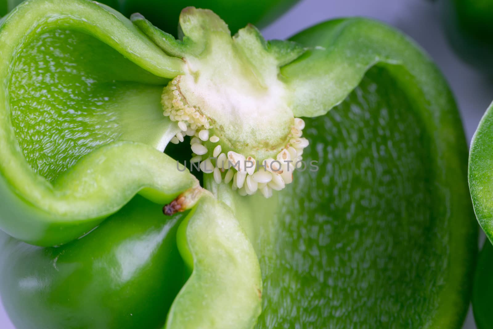 Fresh green bell peppers (capsicum) on a white background by silverwings