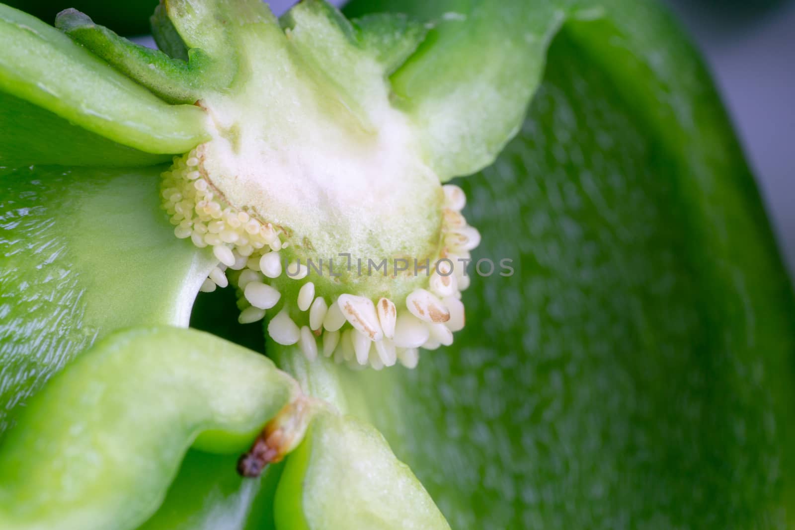 Fresh green bell peppers (capsicum) on a white background by silverwings