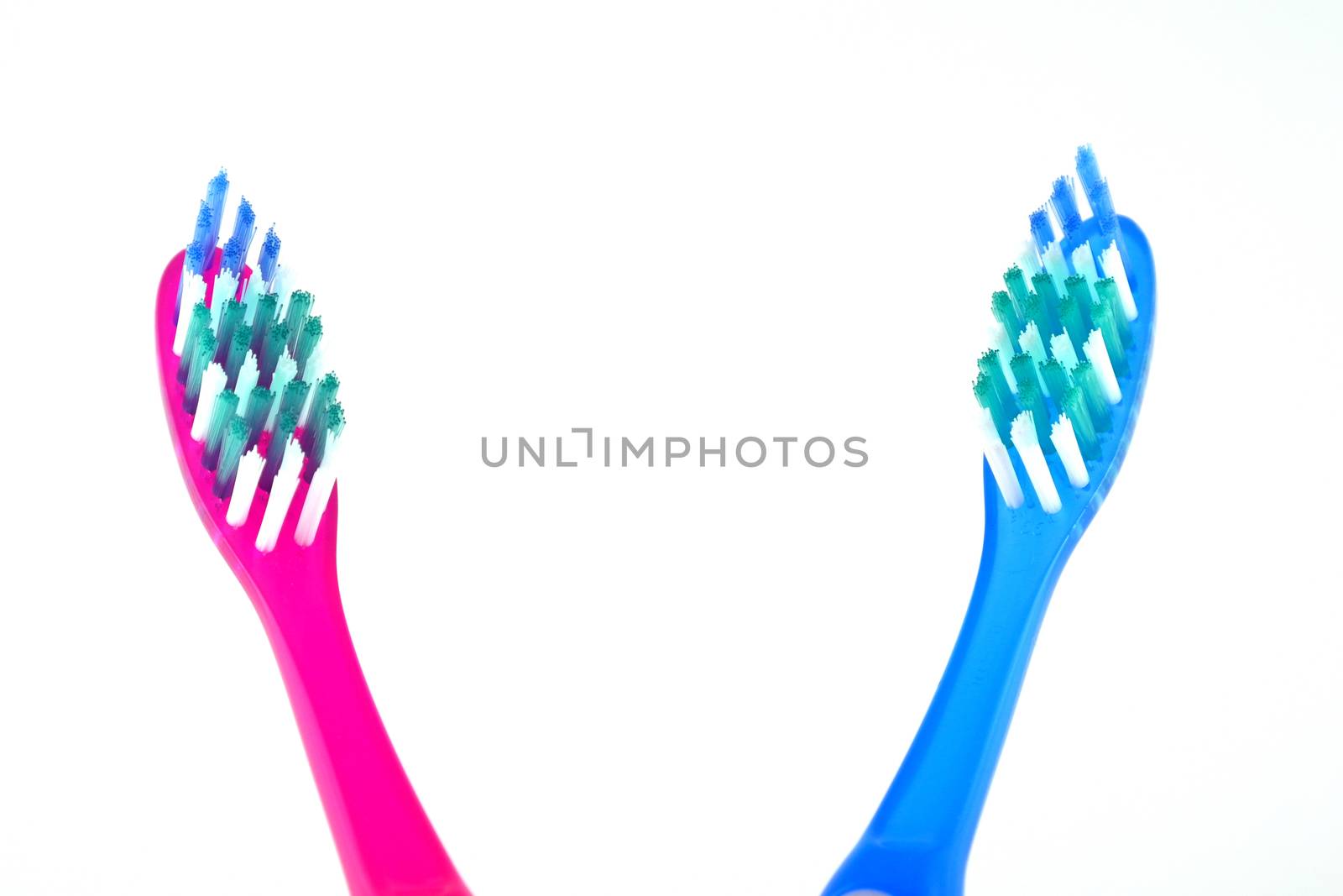 Two tooth-brushes over white