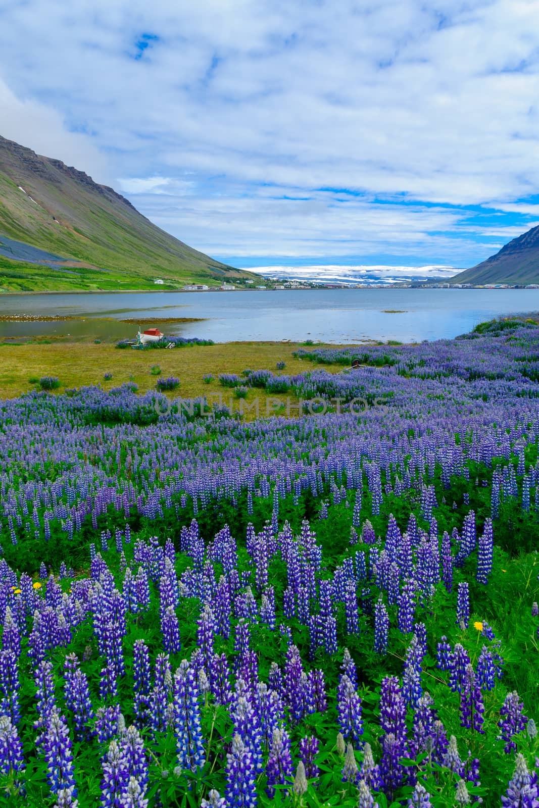 Landscape and view of Isafjordur town, in the west fjords region, Iceland