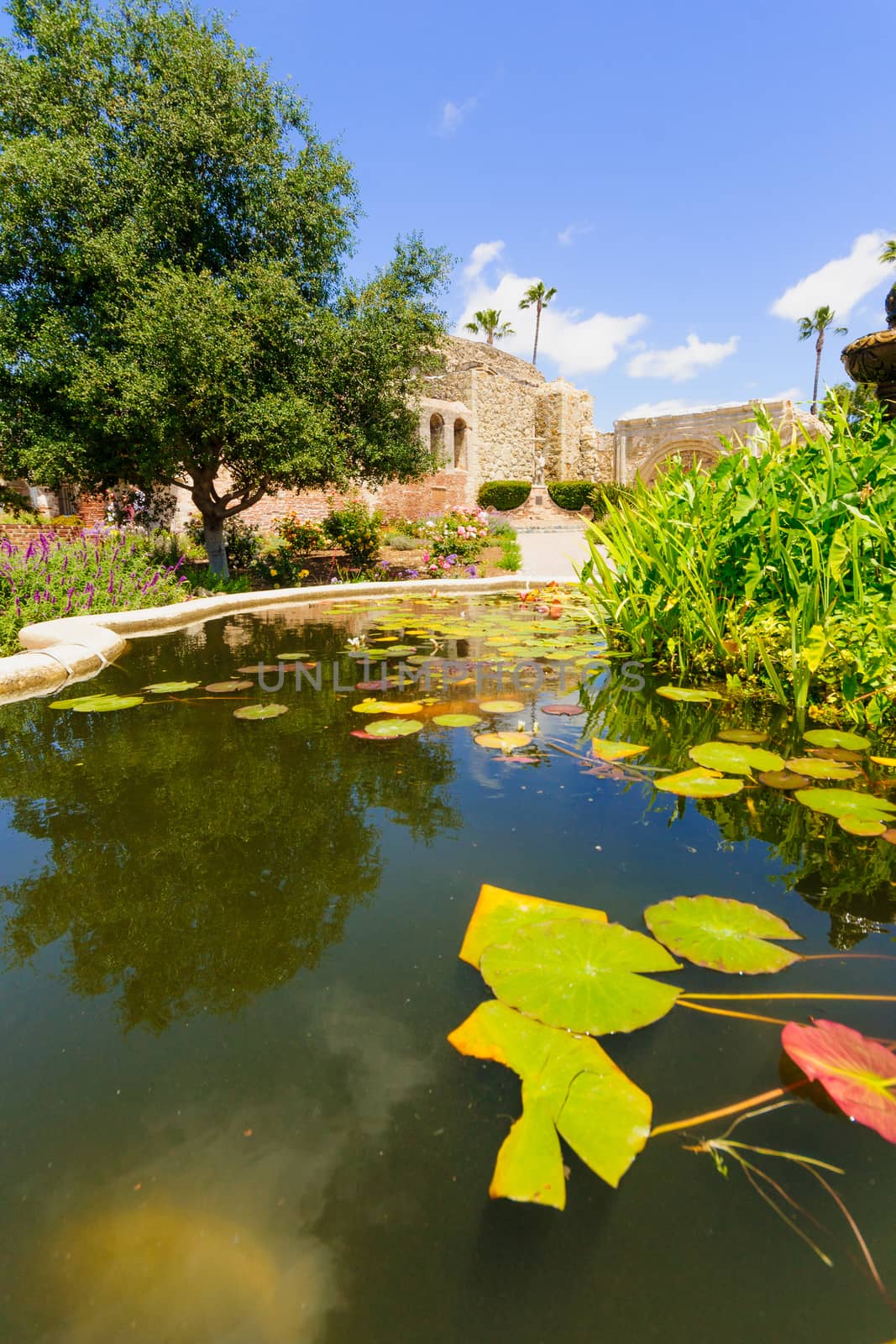 A garden in San Juan Capistrano Mission. California, USA