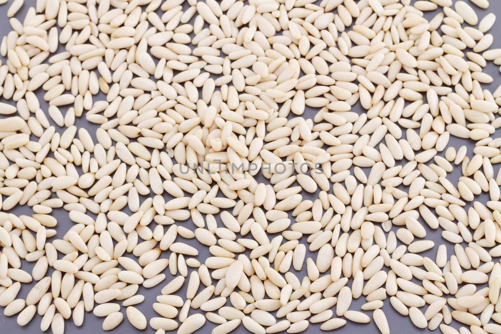 Pine nuts background