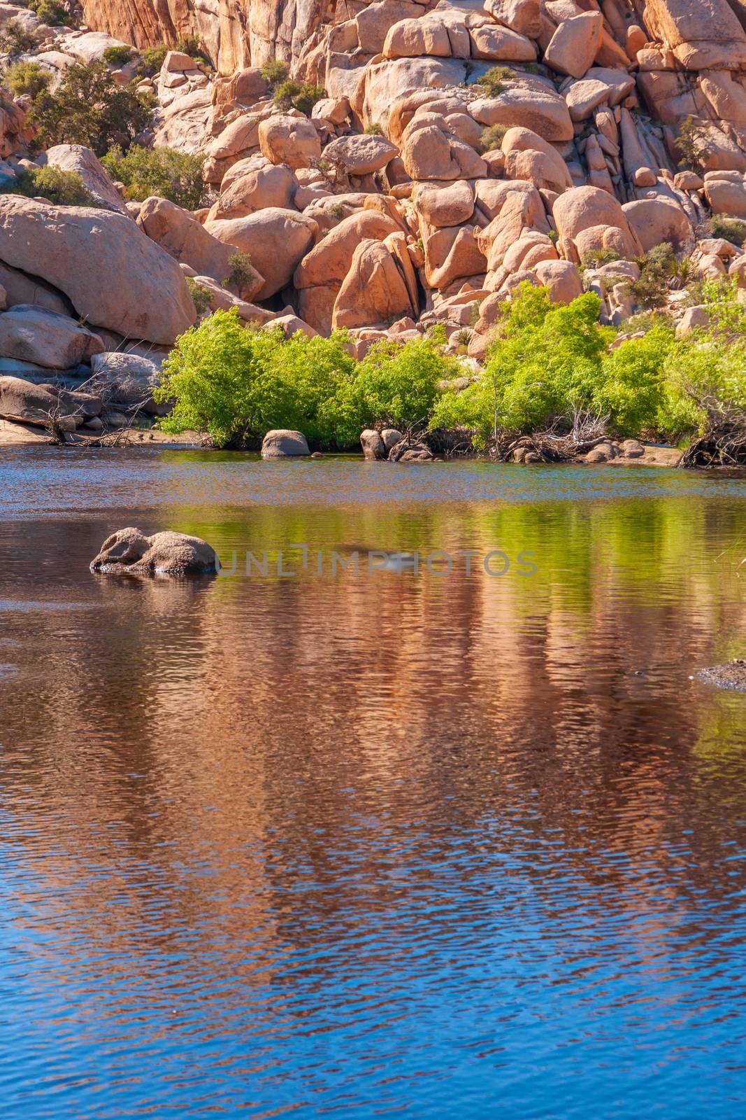 Landscape with rocks reflection in the lake, Joshua Tree National Park, California, USA