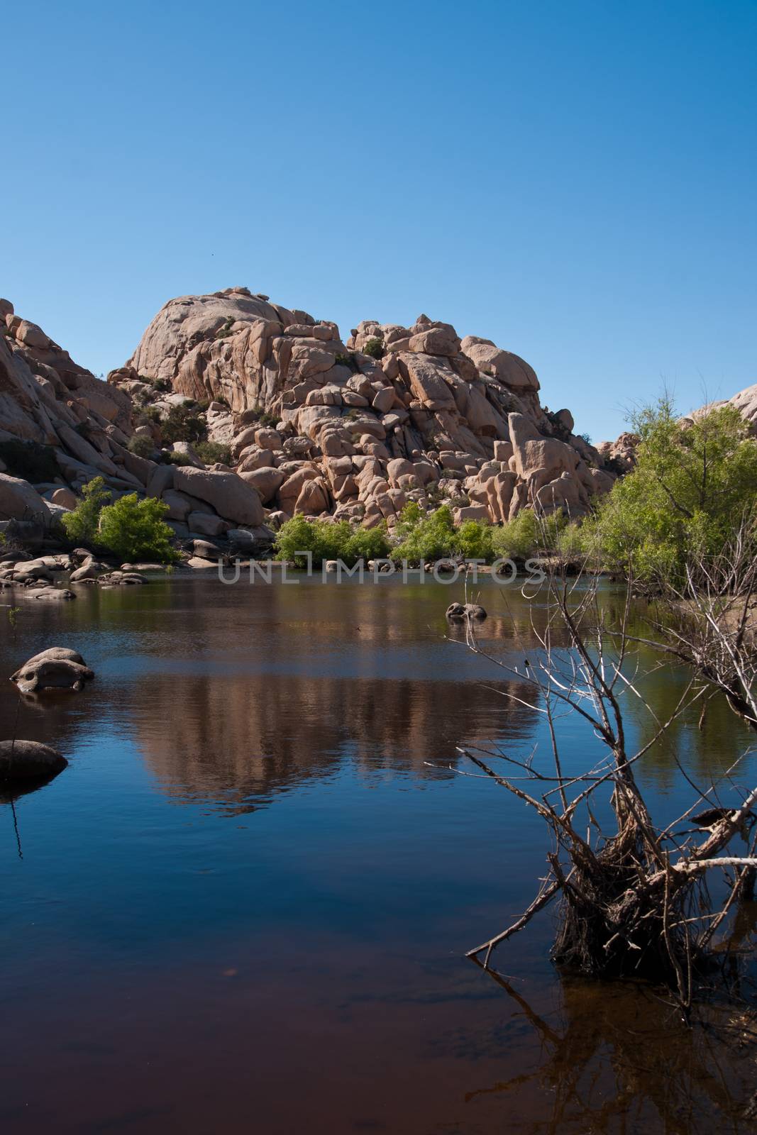 Rocks reflection in the lake, Joshua Tree National Park, CA, USA