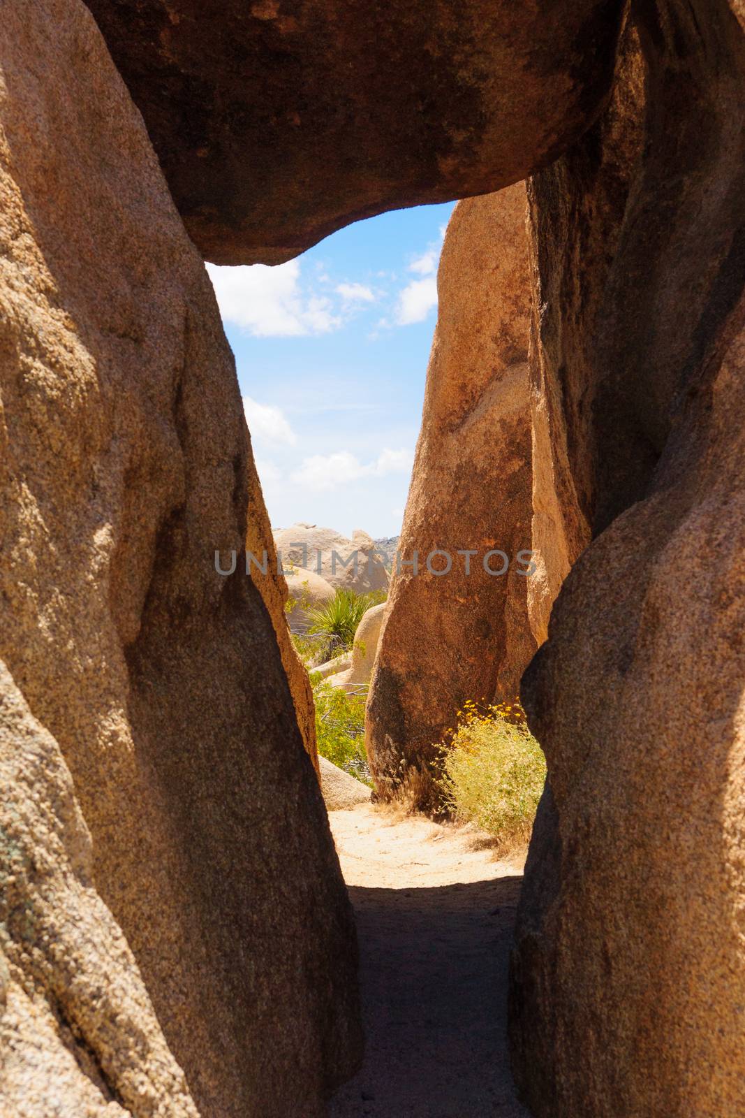 Rock formations in Joshua Tree National Park, California, USA