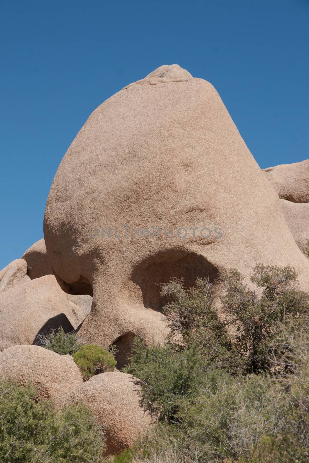 The Skull Rock in Joshua Tree National Park, California, USA