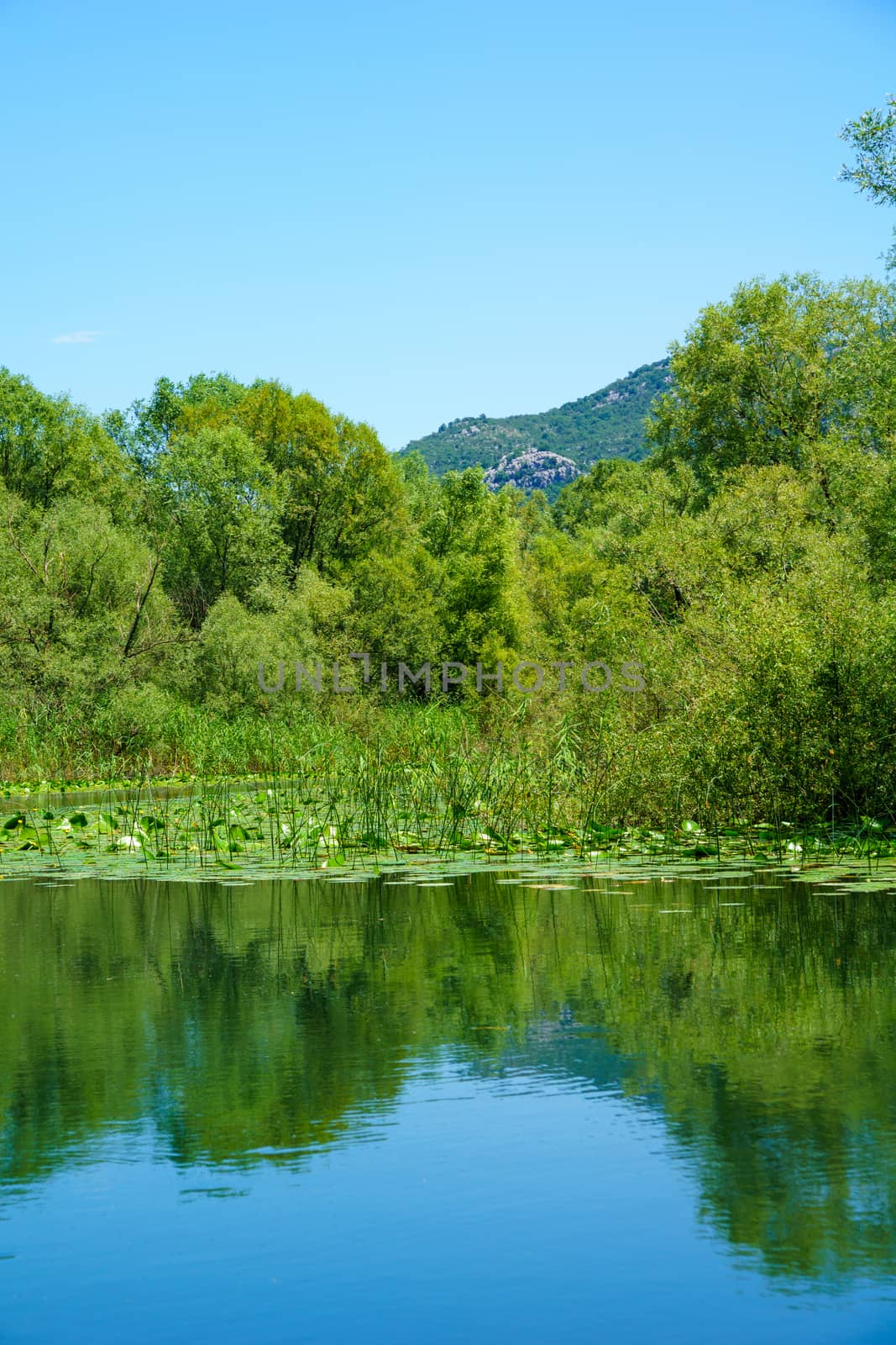 Rijeka Crnojevica, Skadar Lake by RnDmS