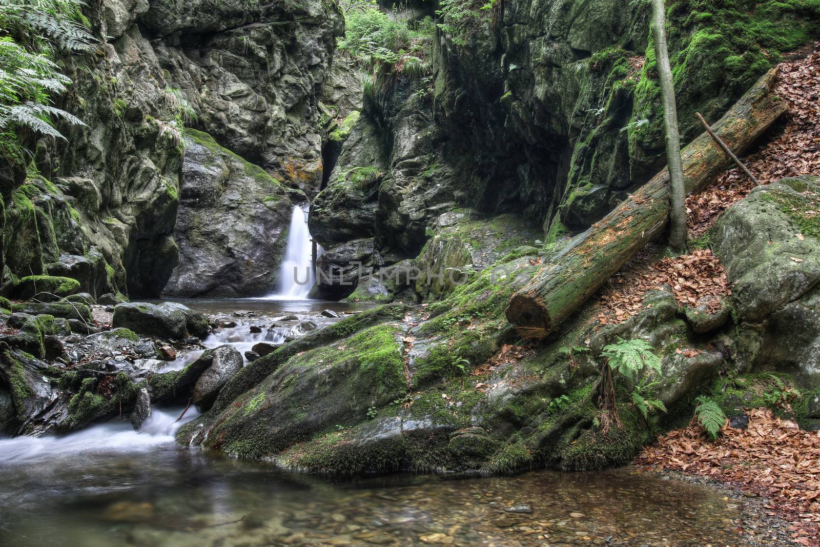 Waterfall on the Silver Brook, Czech Republic by Mibuch