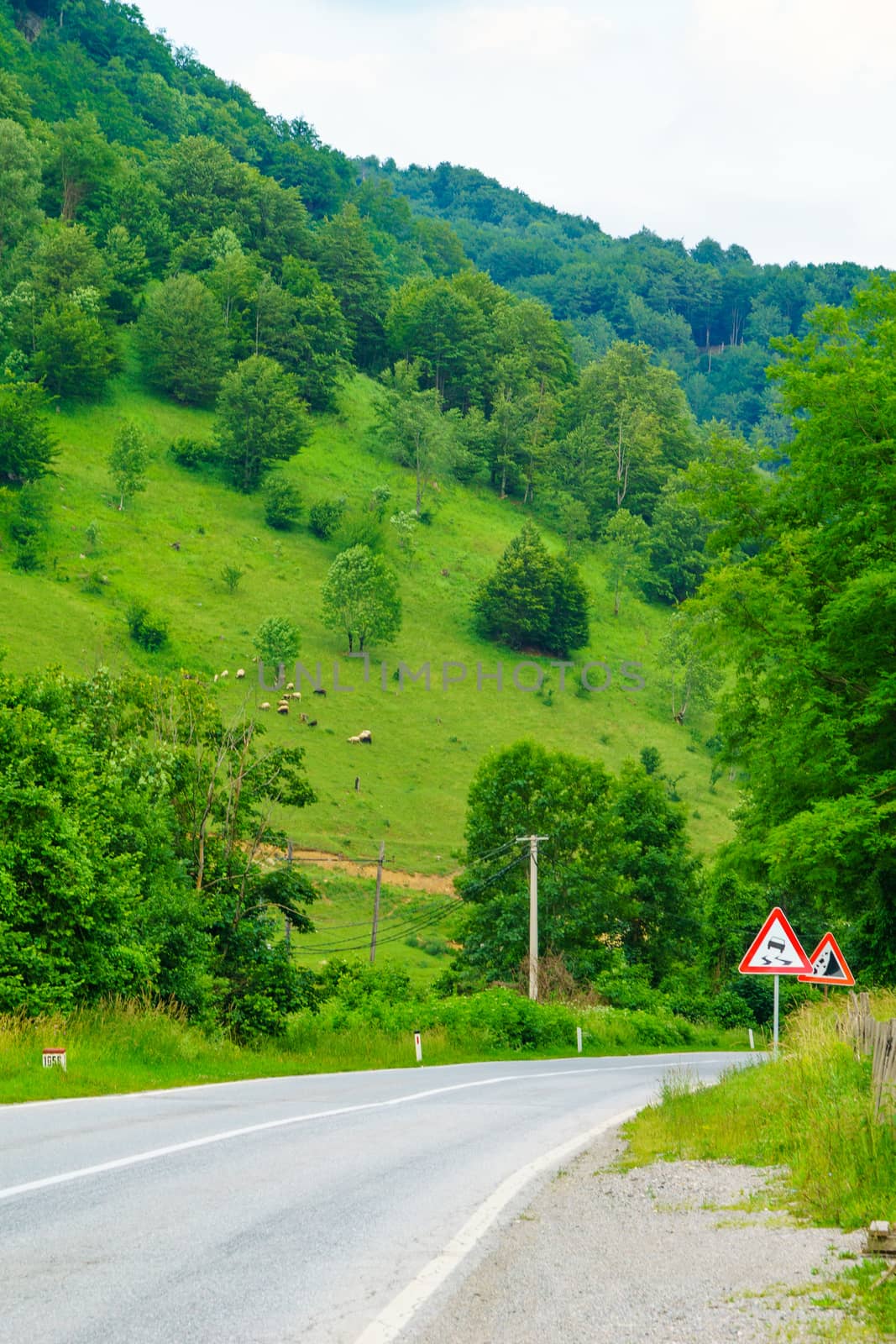 Countryside landscape near Mojkovac, central Montenegro