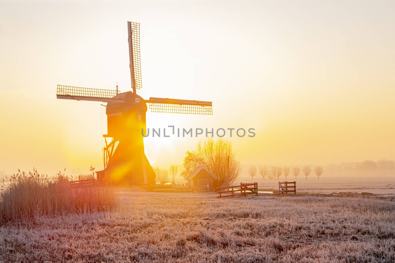 Windmill silhouettes at the early morning sunrise by ankorlight