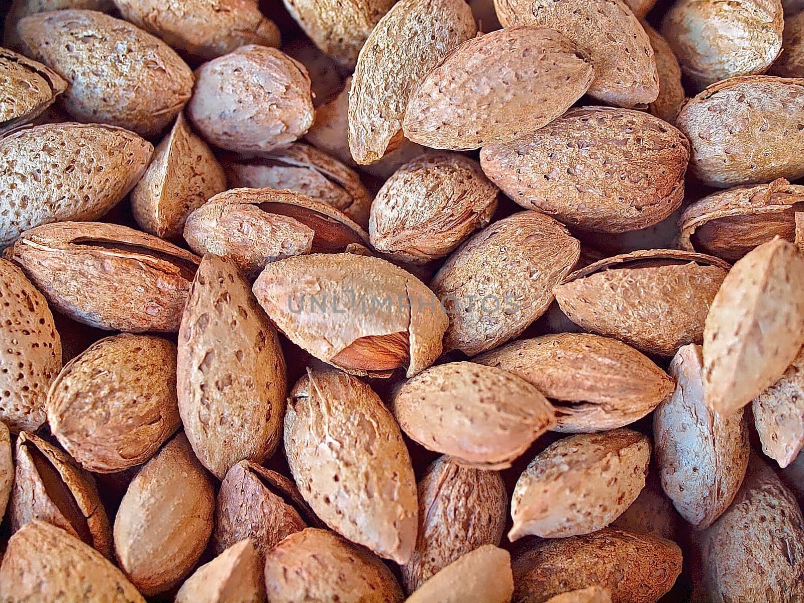 Macro of fresh almonds in nutshells