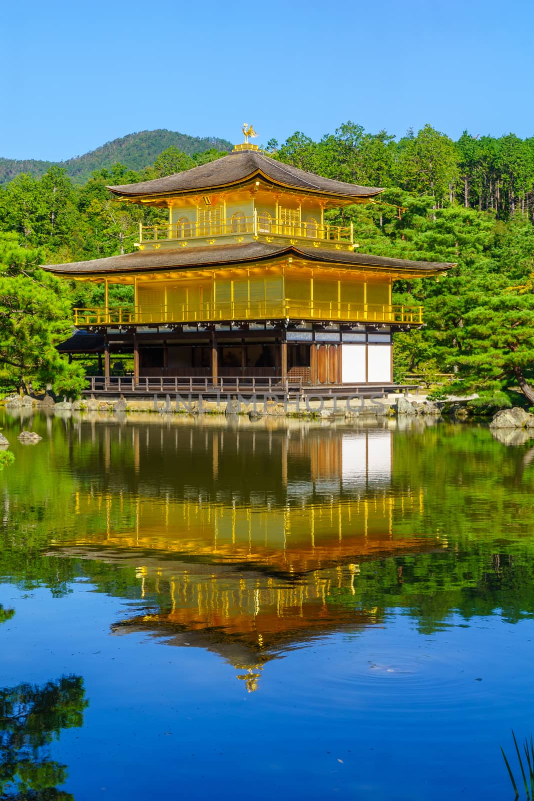 Golden Pavilion, Kinkakuji, in Kyoto by RnDmS