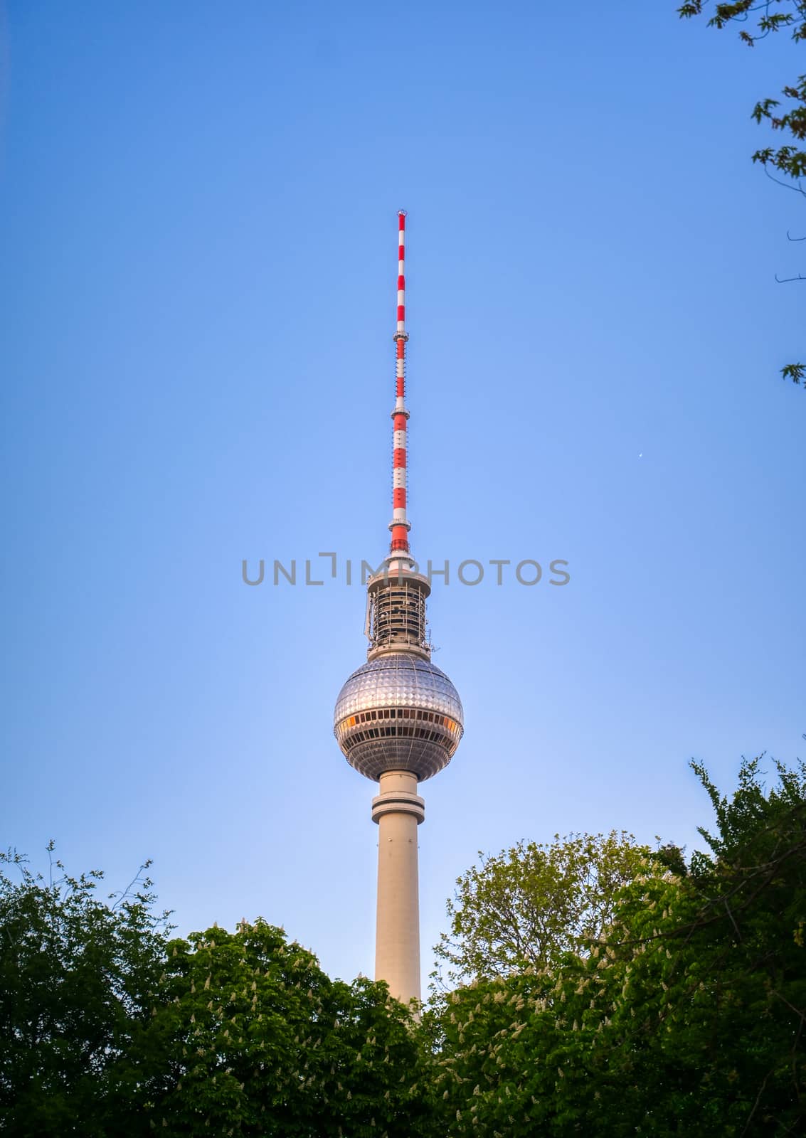 TV Tower in Berlin, Germany by jbyard22
