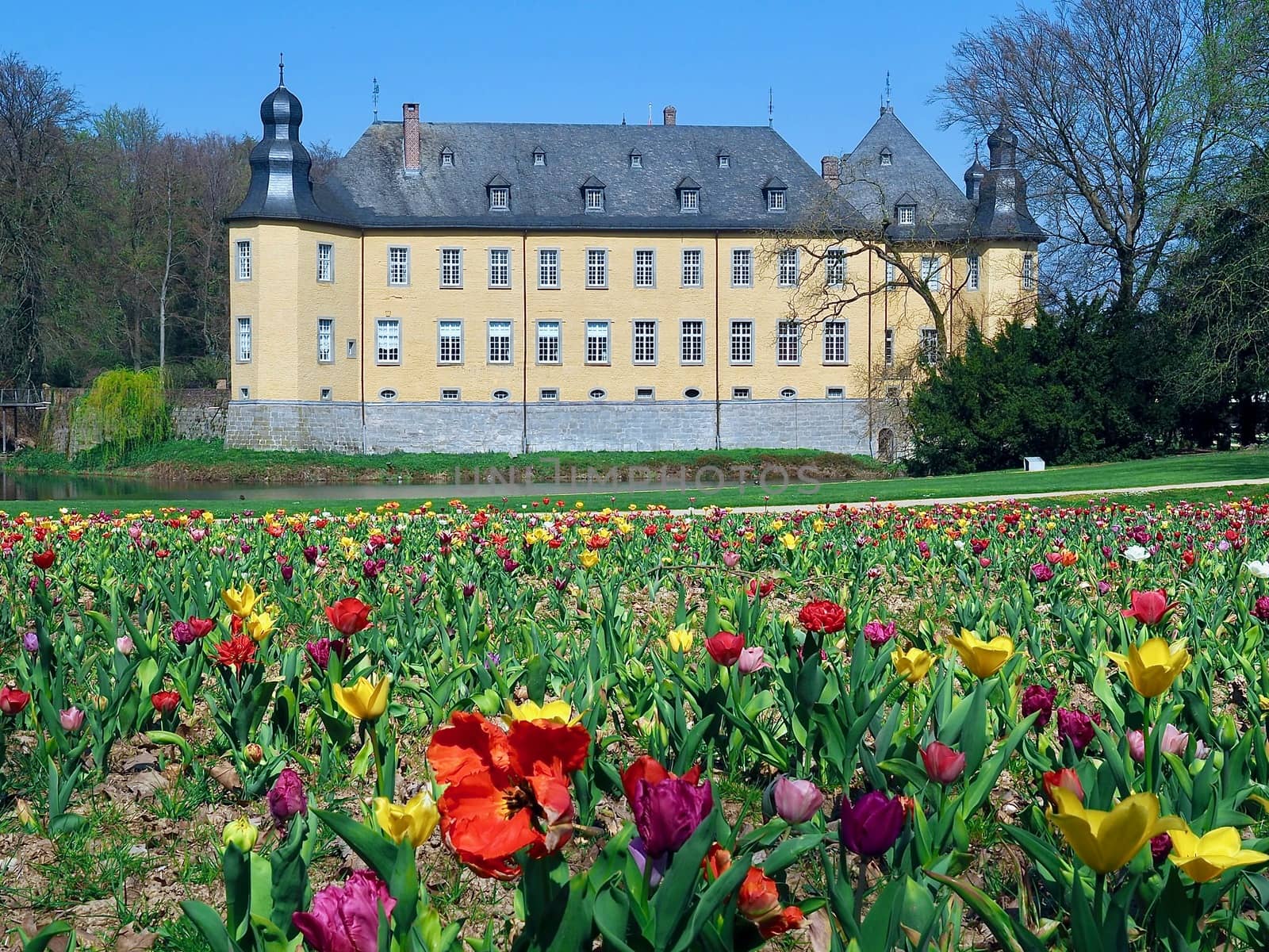 Castle of Schloss Dck in Juechen in spring by Stimmungsbilder