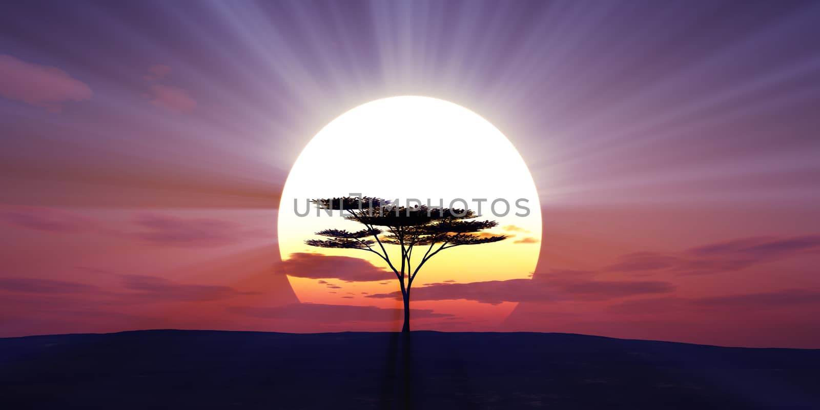 big sun sunset tree landscape, 3d illustrations by alex_nako