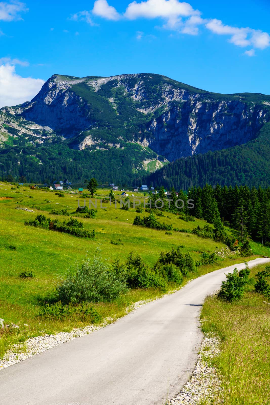 Landscape view and country road in Durmitor National Park, Northern Montenegro