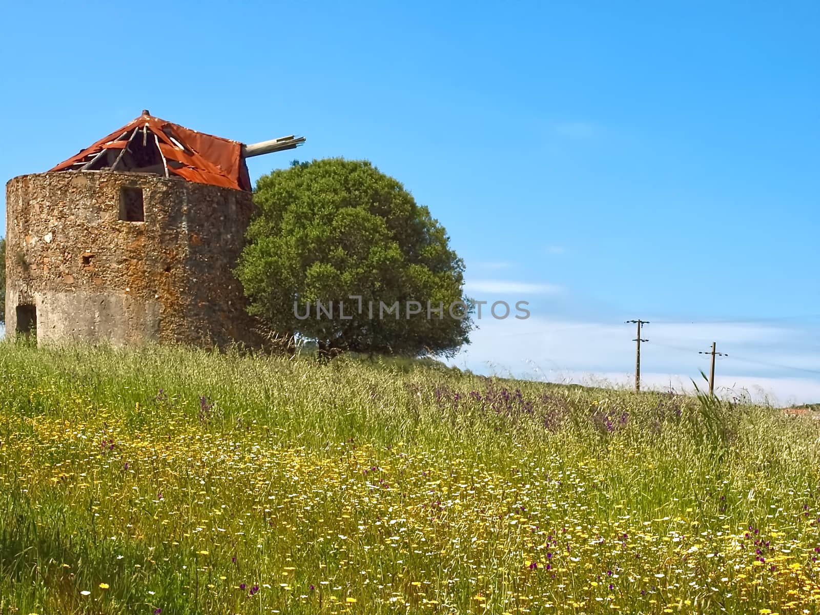 Beautiful alentejo in Portugal with an old windmill and a red roof near Odeceixe