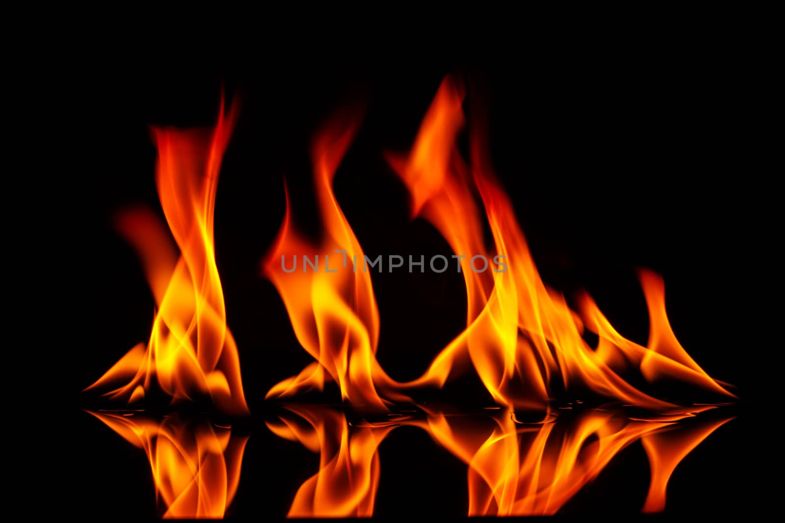 Fire flames on a black background blur
