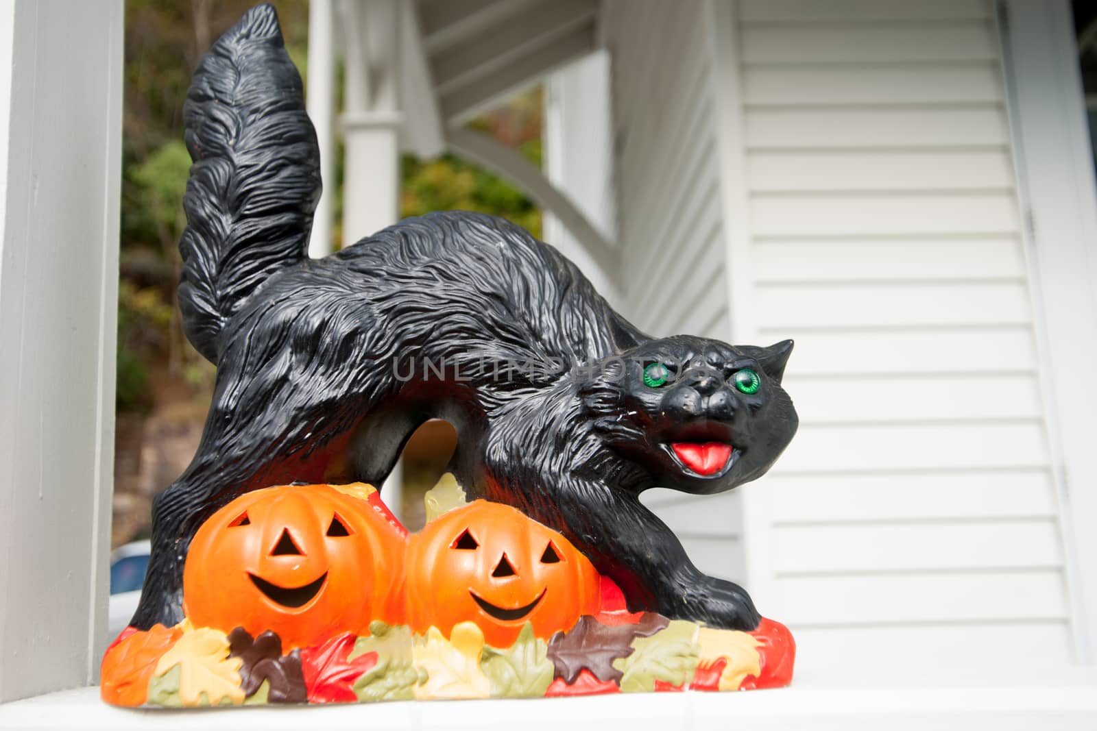 Black cat snarling while walking over jack o lantern face cutout by brians101