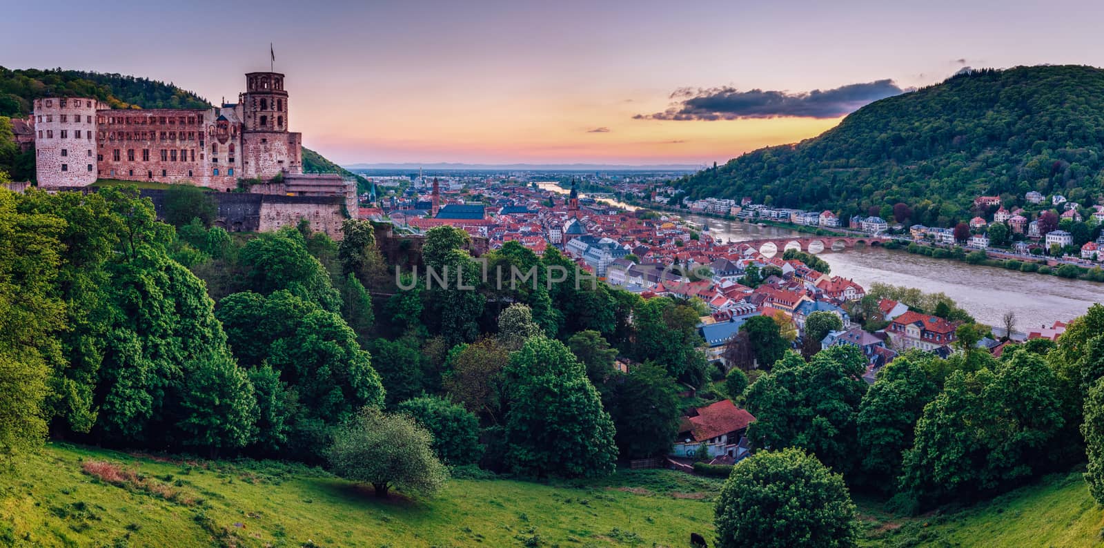 Heidelberg town with the famous old bridge and Heidelberg castle by DaLiu