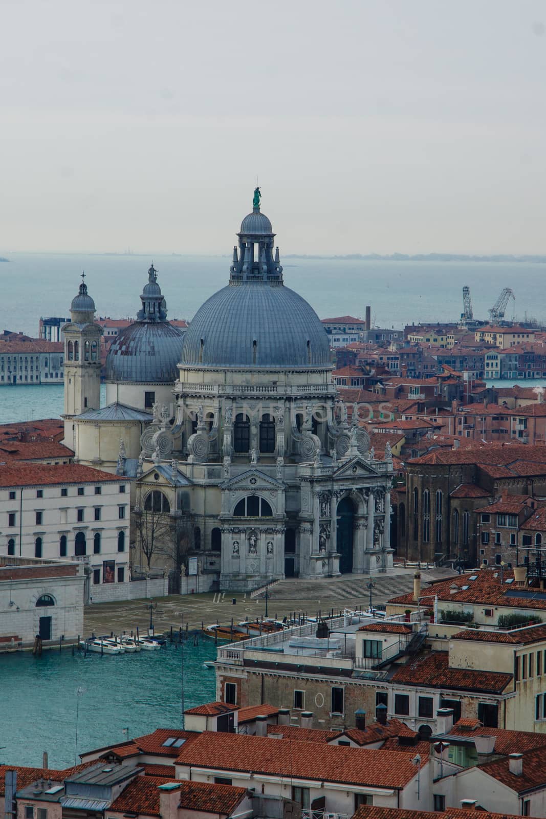 View of Santa Maria della Salute church, in Venice, Veneto, Italy