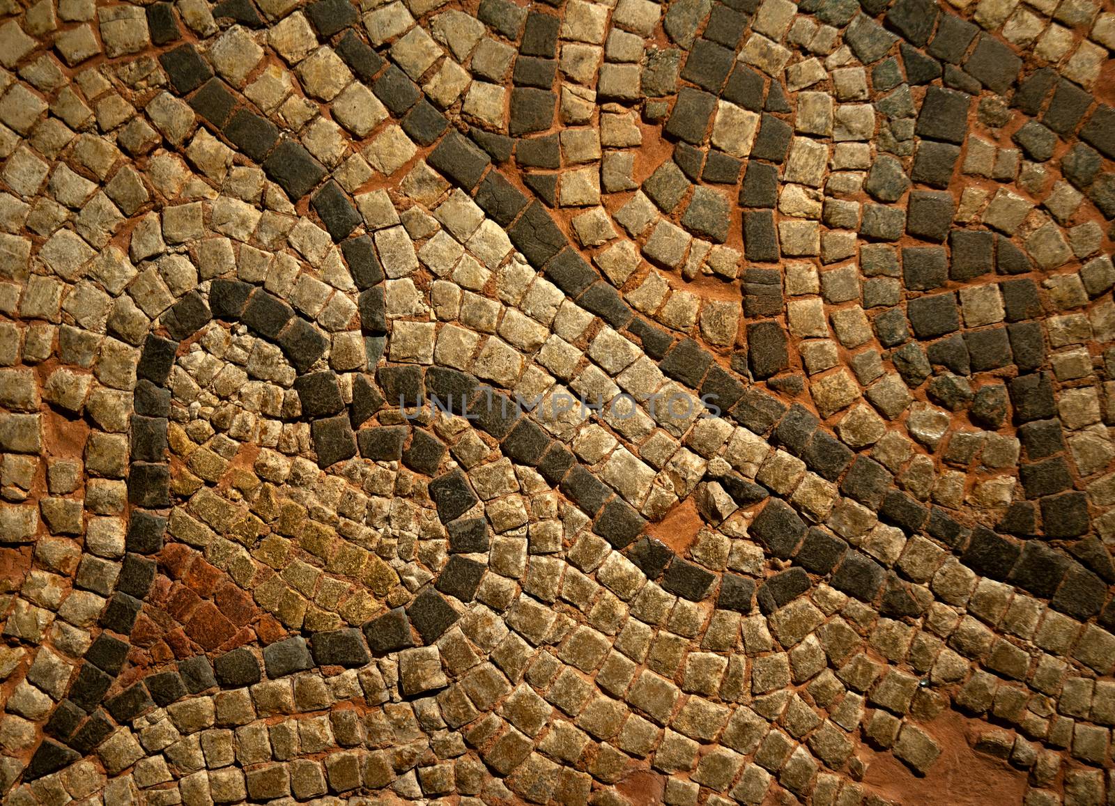Roman Mosiac Detail by TimAwe