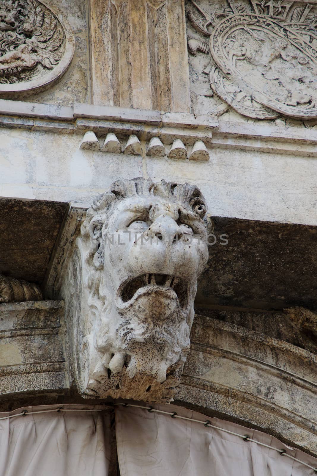 Lion sculpture in Piazza San Marco, Venice, Veneto, Italy