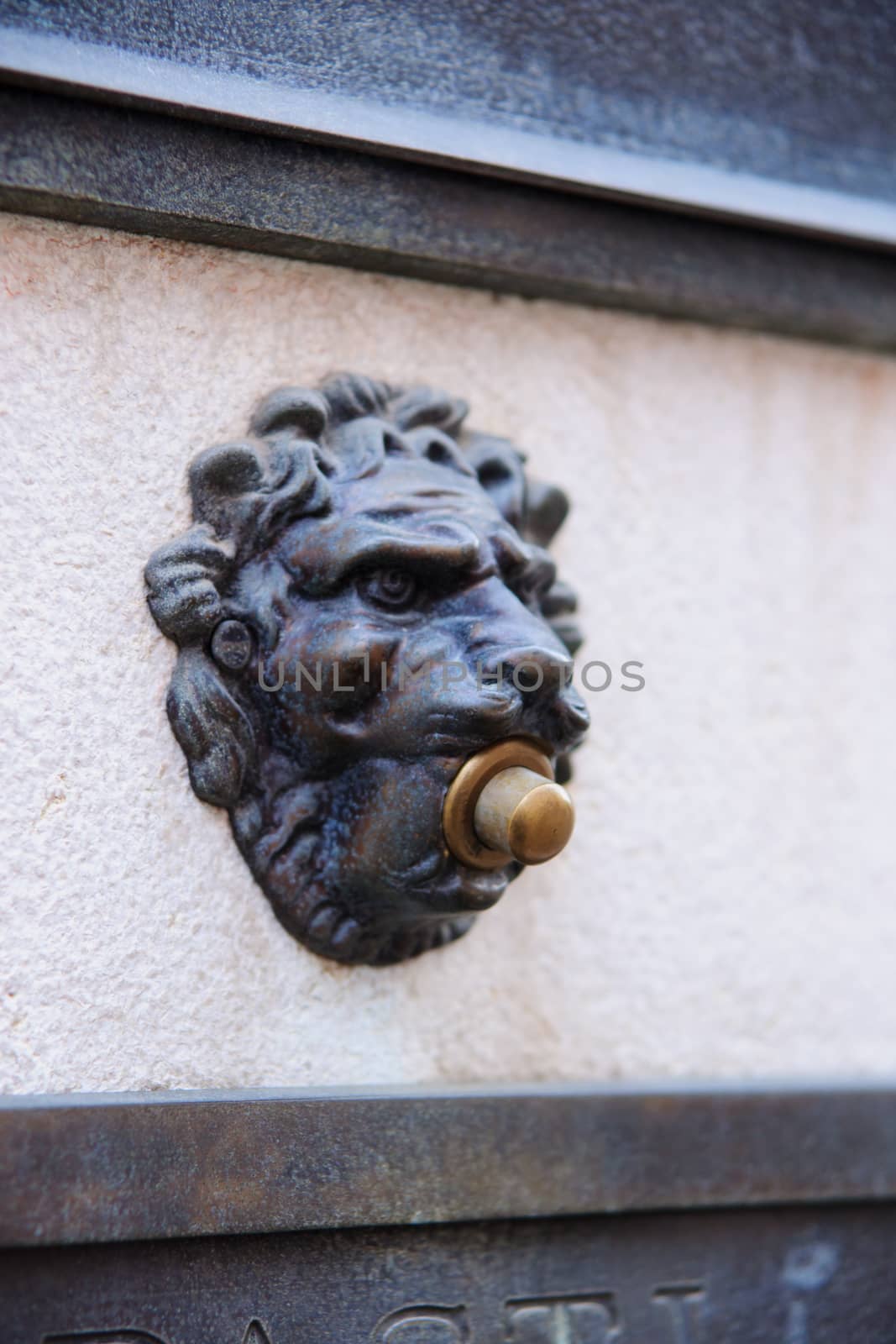Lion shape doorbell in Venice, Veneto, Italy