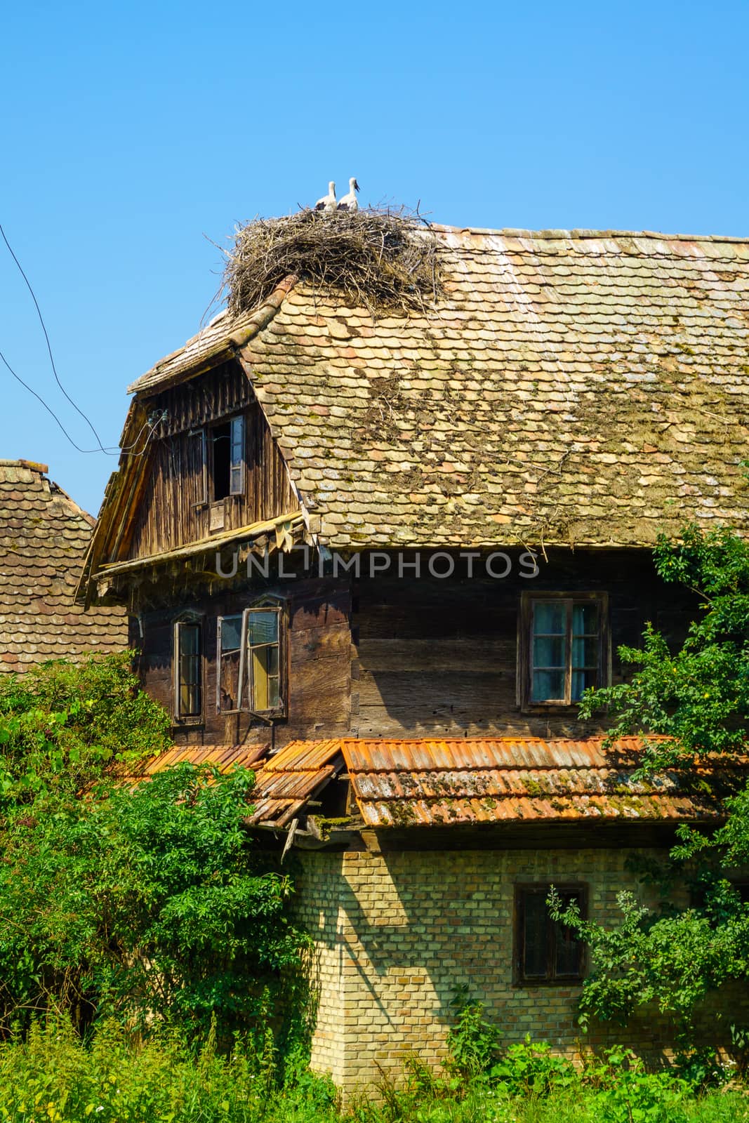 Typical wooden house, with Storks nesting on the roof, in the village Preloscica, Lonjsko Polje area, Croatia