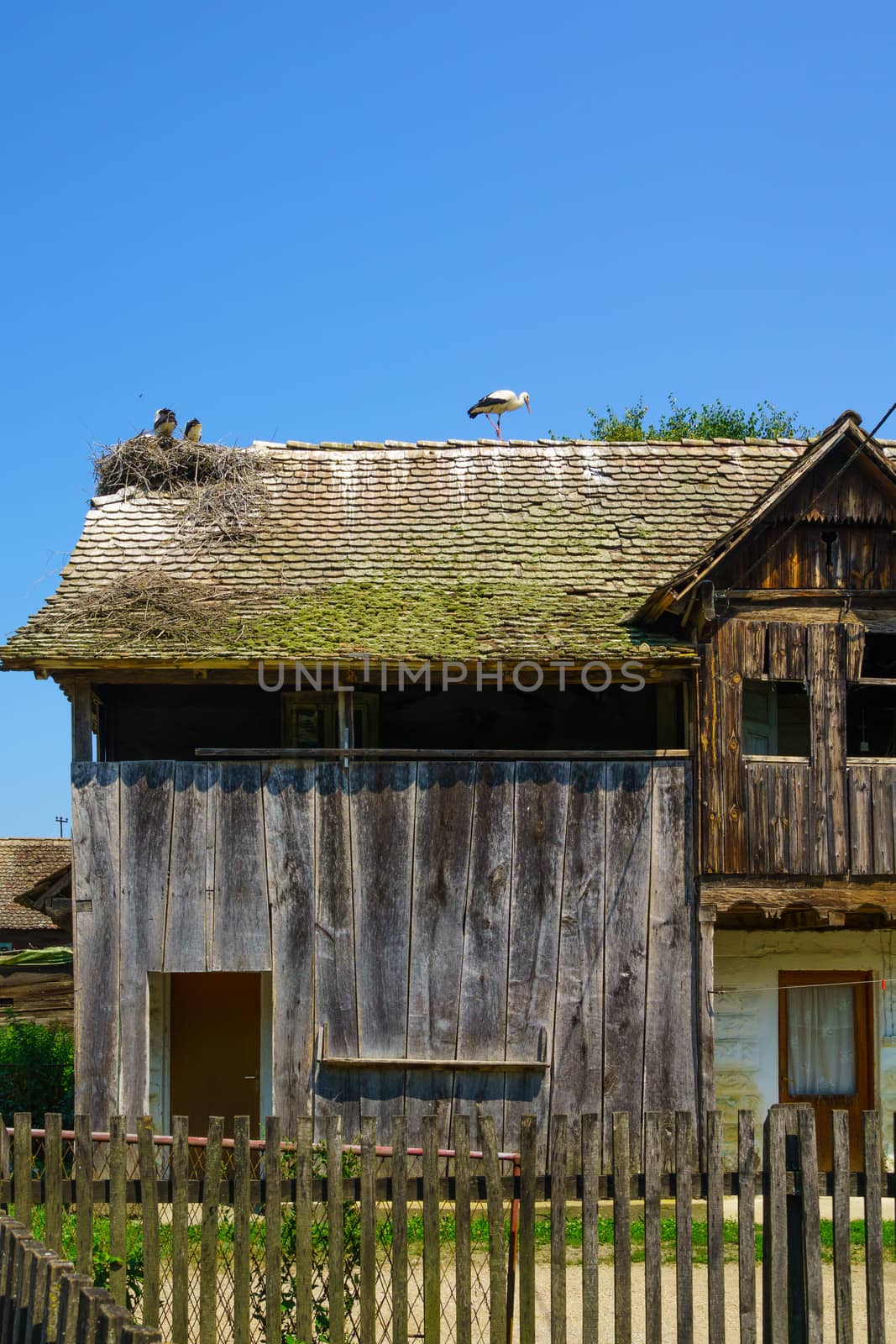 Typical wooden house, with Storks nesting on the roof, in the village Cigoc, Lonjsko Polje area, Croatia