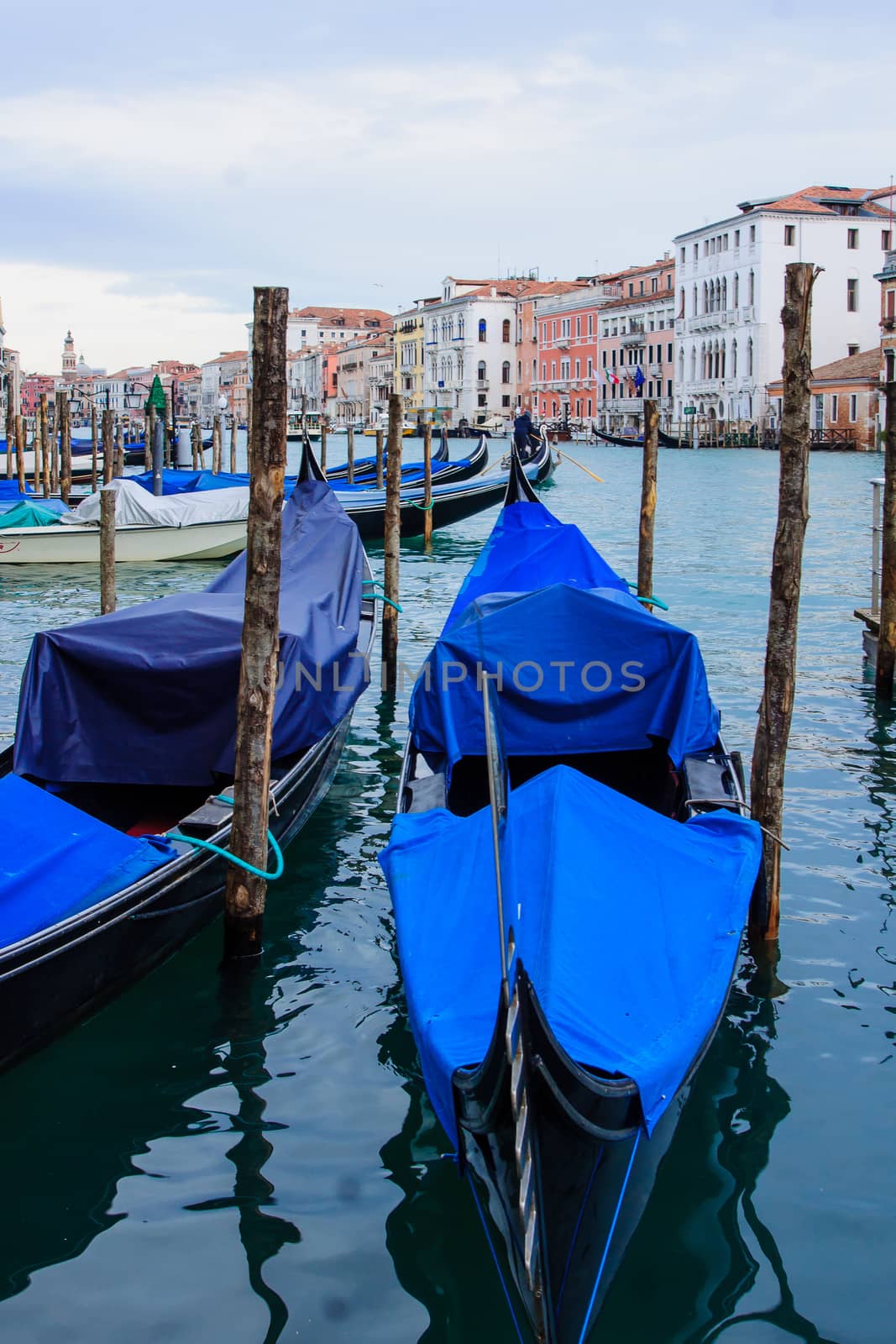 Gondolas. In Venice, Veneto, Italy