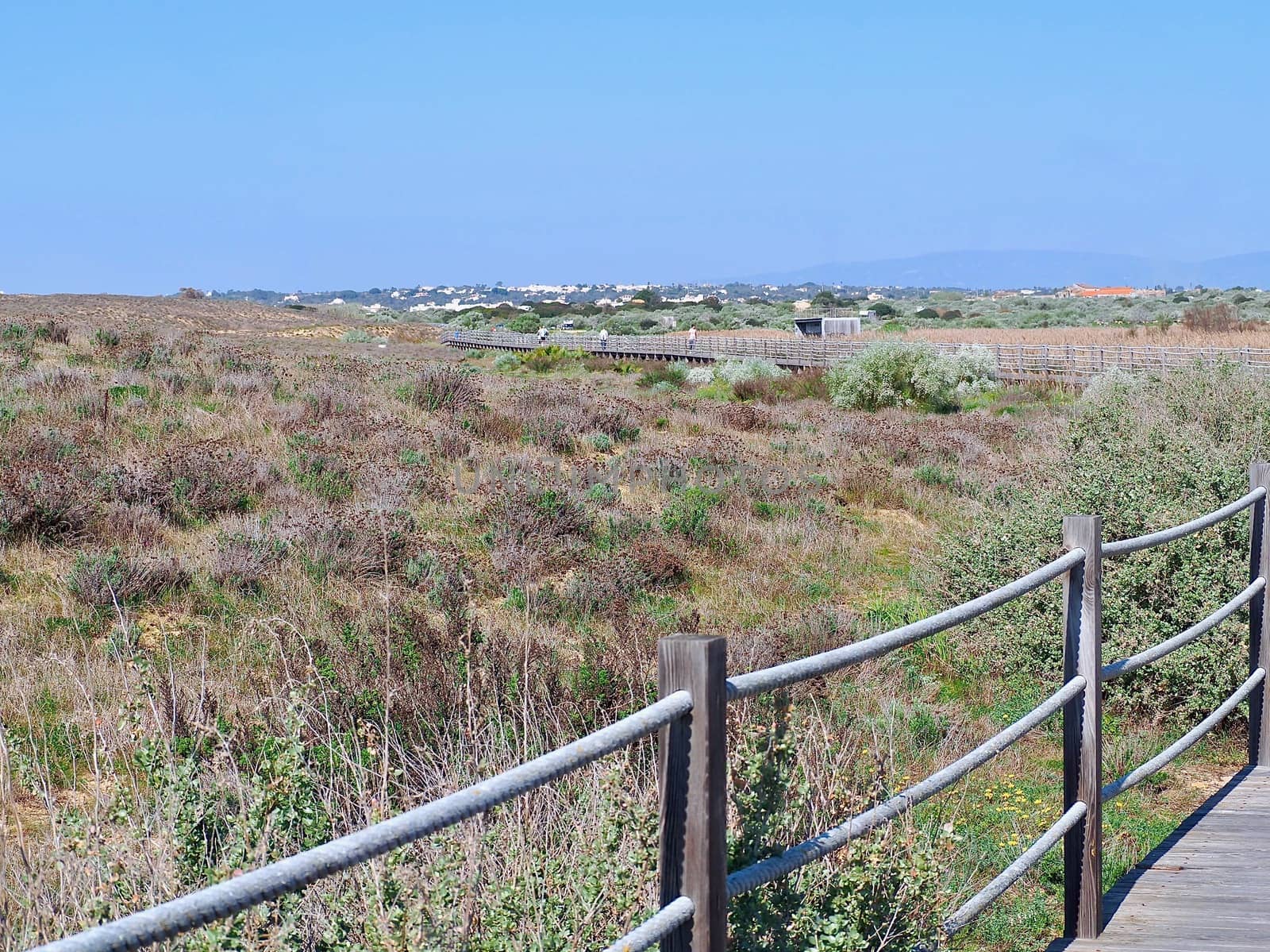 Lagoa dos Salgados, a biotope between Armacaou de Pera and Albufeira at the Algarve coast of Portugal