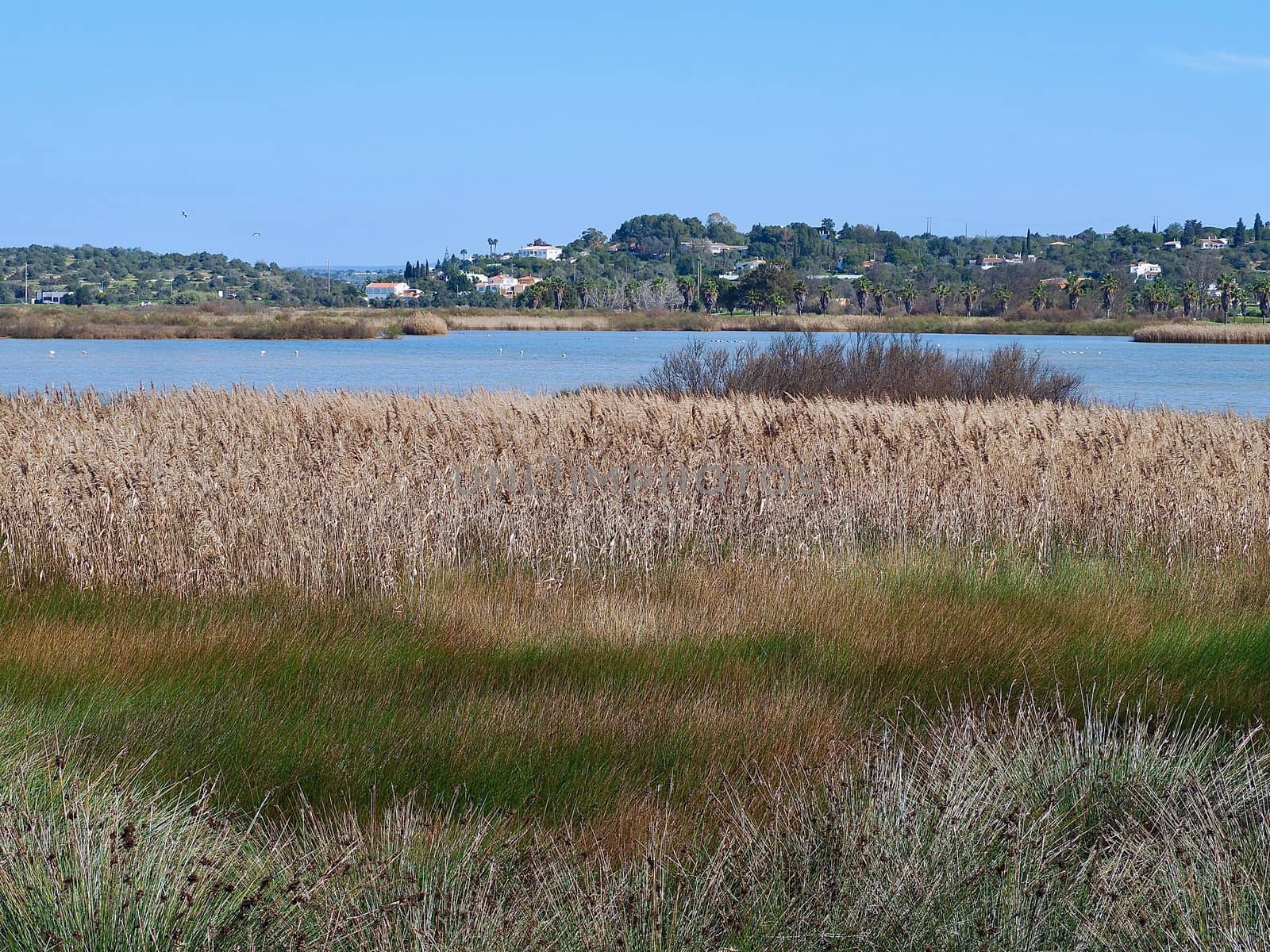 Beautiful lagoon Lagoa dos Salgados near Albufeira in Portugal by Stimmungsbilder