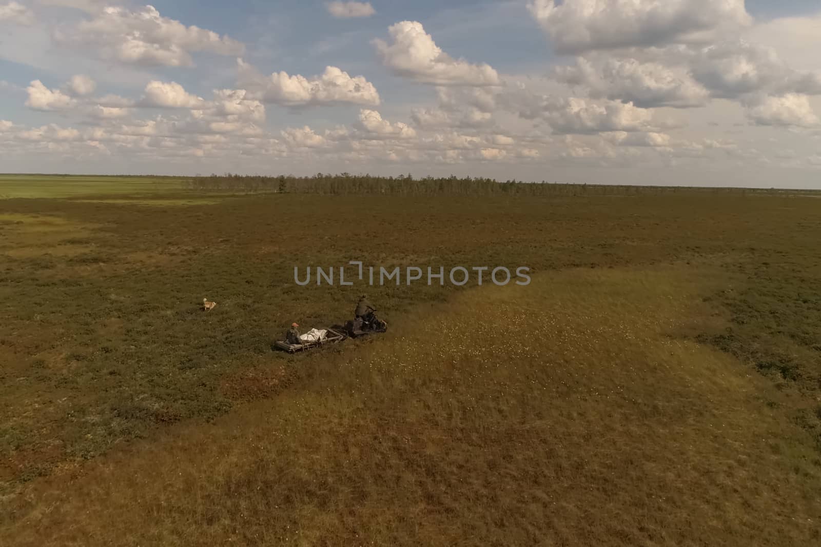 Snowmobile ride in the summer on the grass in the tundra. View from above.